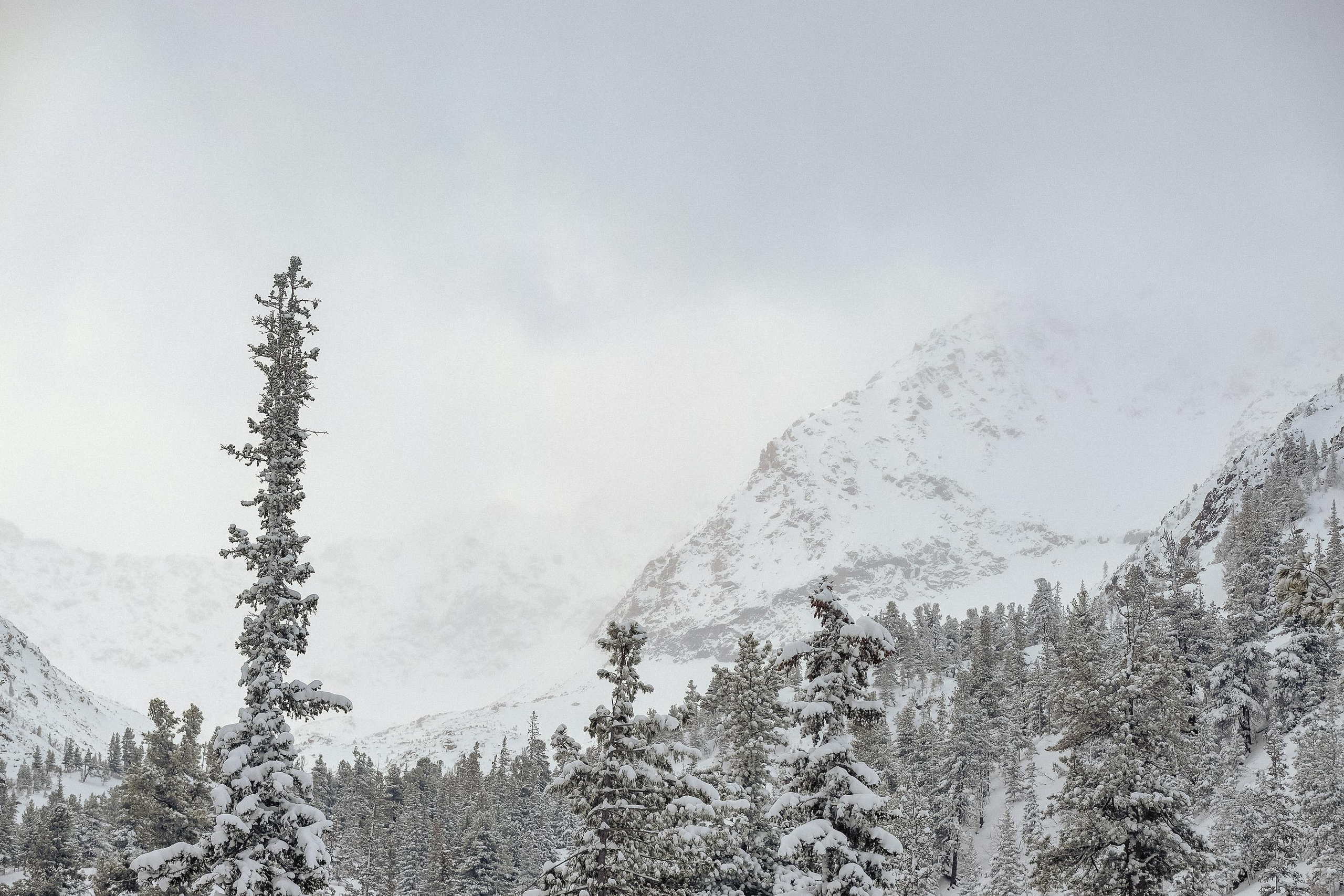Забег «НА БОРУС» 2023. Фотограф Анна Герман. Красноярск