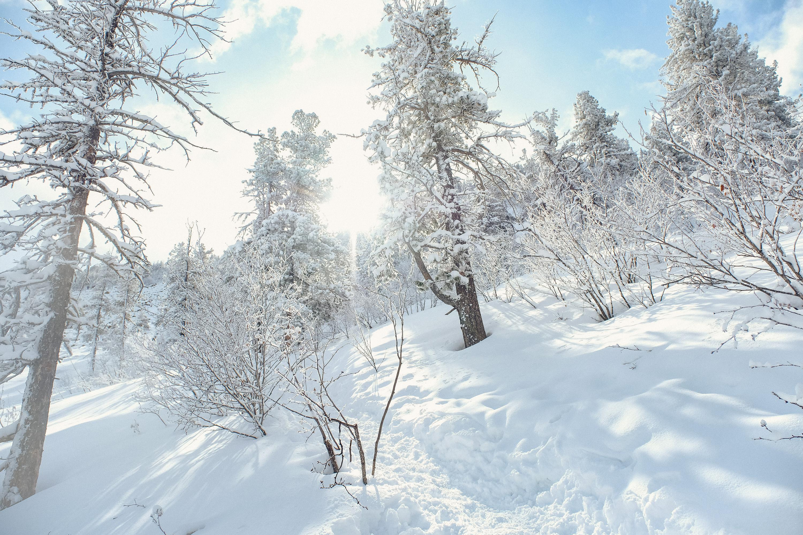 Забег «НА БОРУС» 2023. Фотограф Анна Герман. Красноярск