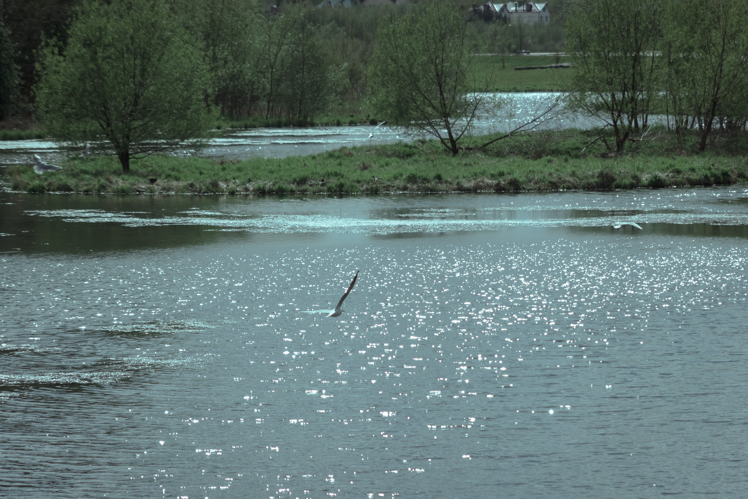 О Верности. Аmat Victoria Сuram