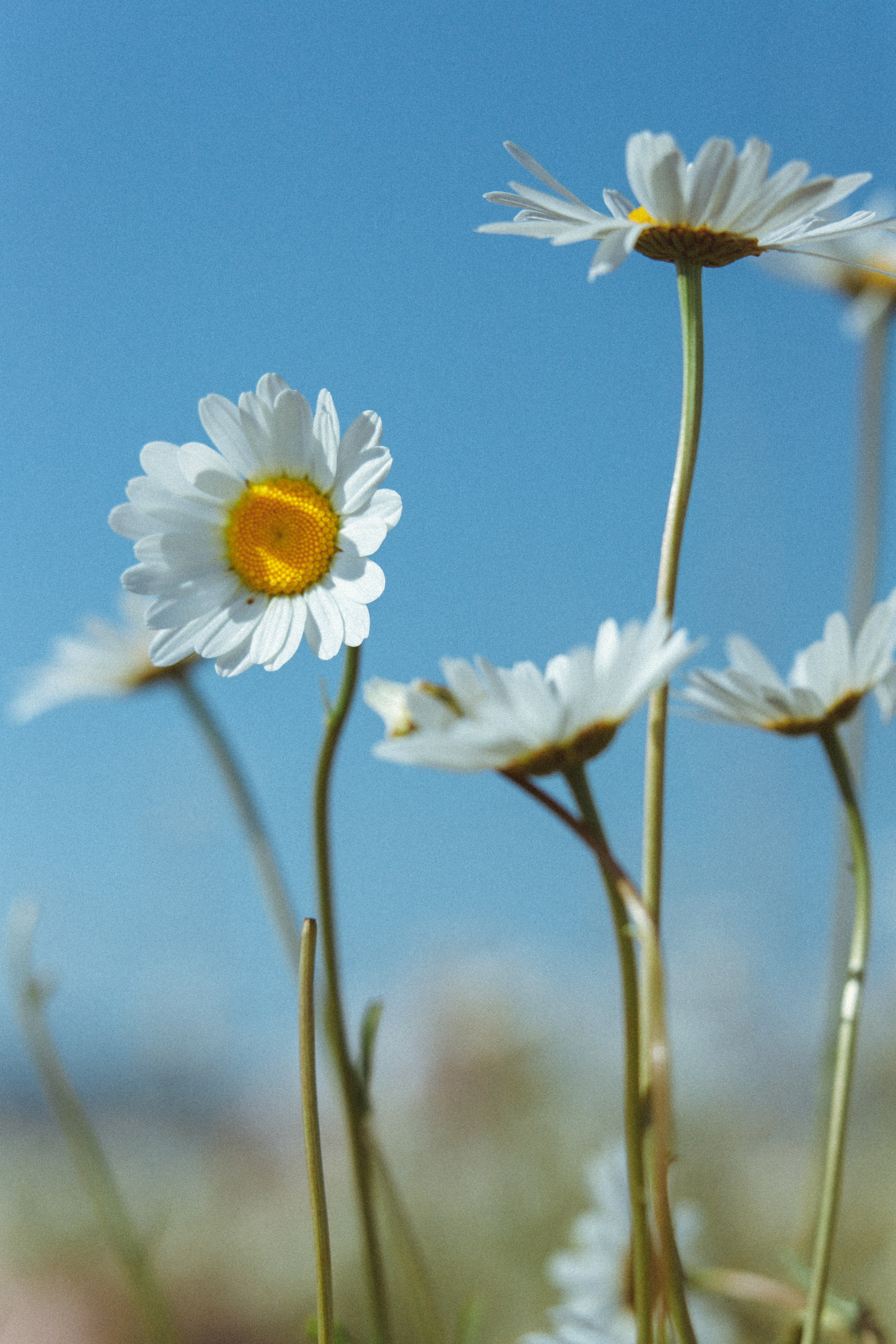 Nature. Артем Корнев Фотограф