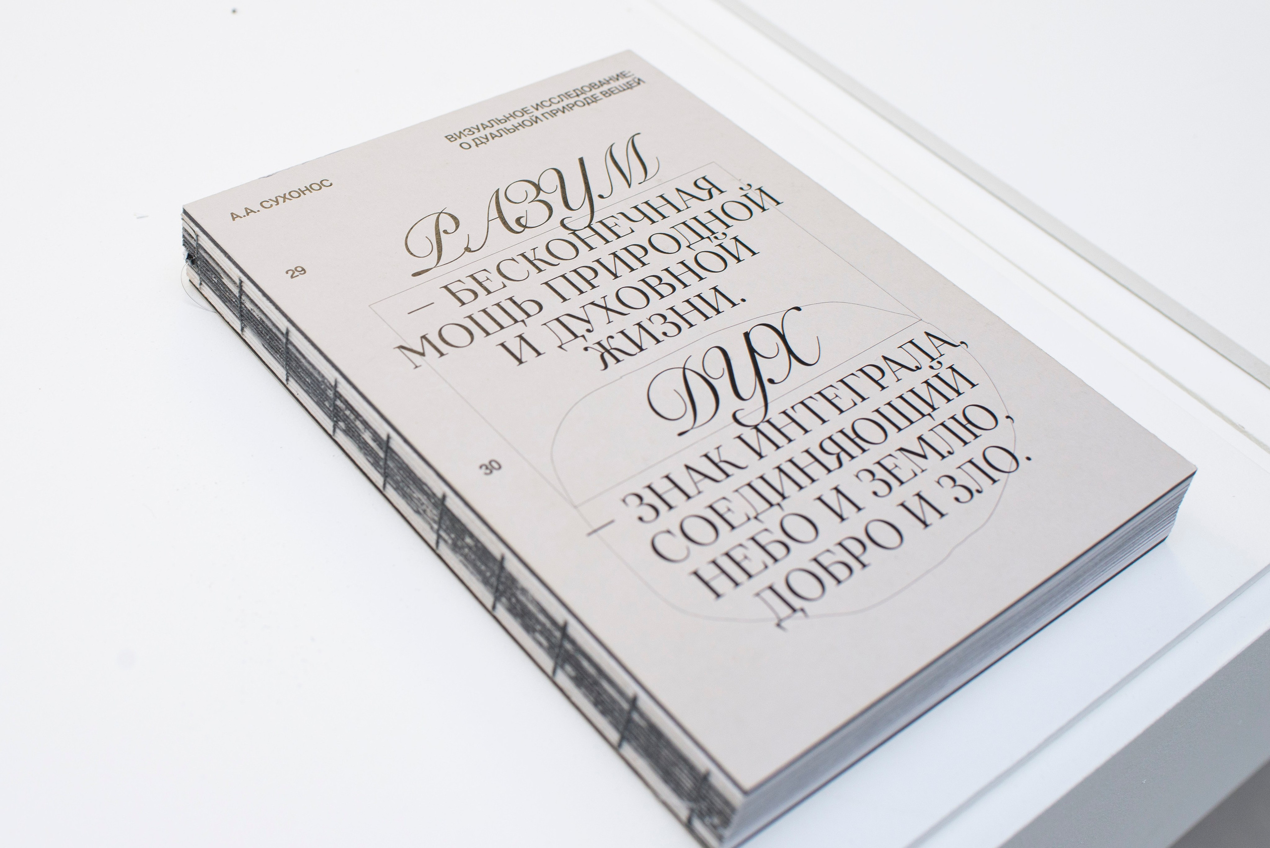 Выставка в Яндекс музее. Фотограф в Москве Алейникова Евгения