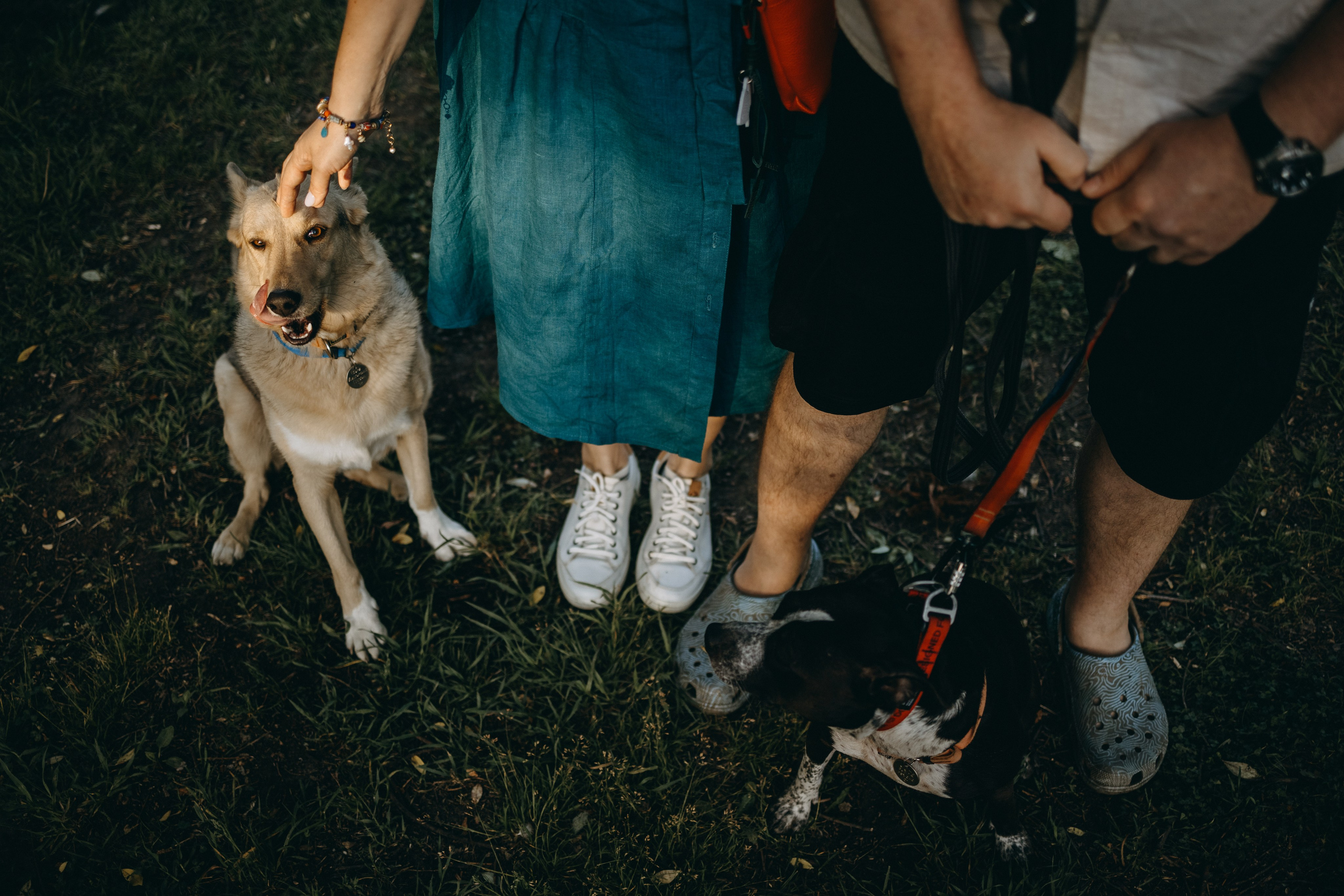 Татьяна, Сергей и их Булочка и Пончик. Фотограф — Анималист | Санкт-Петербург