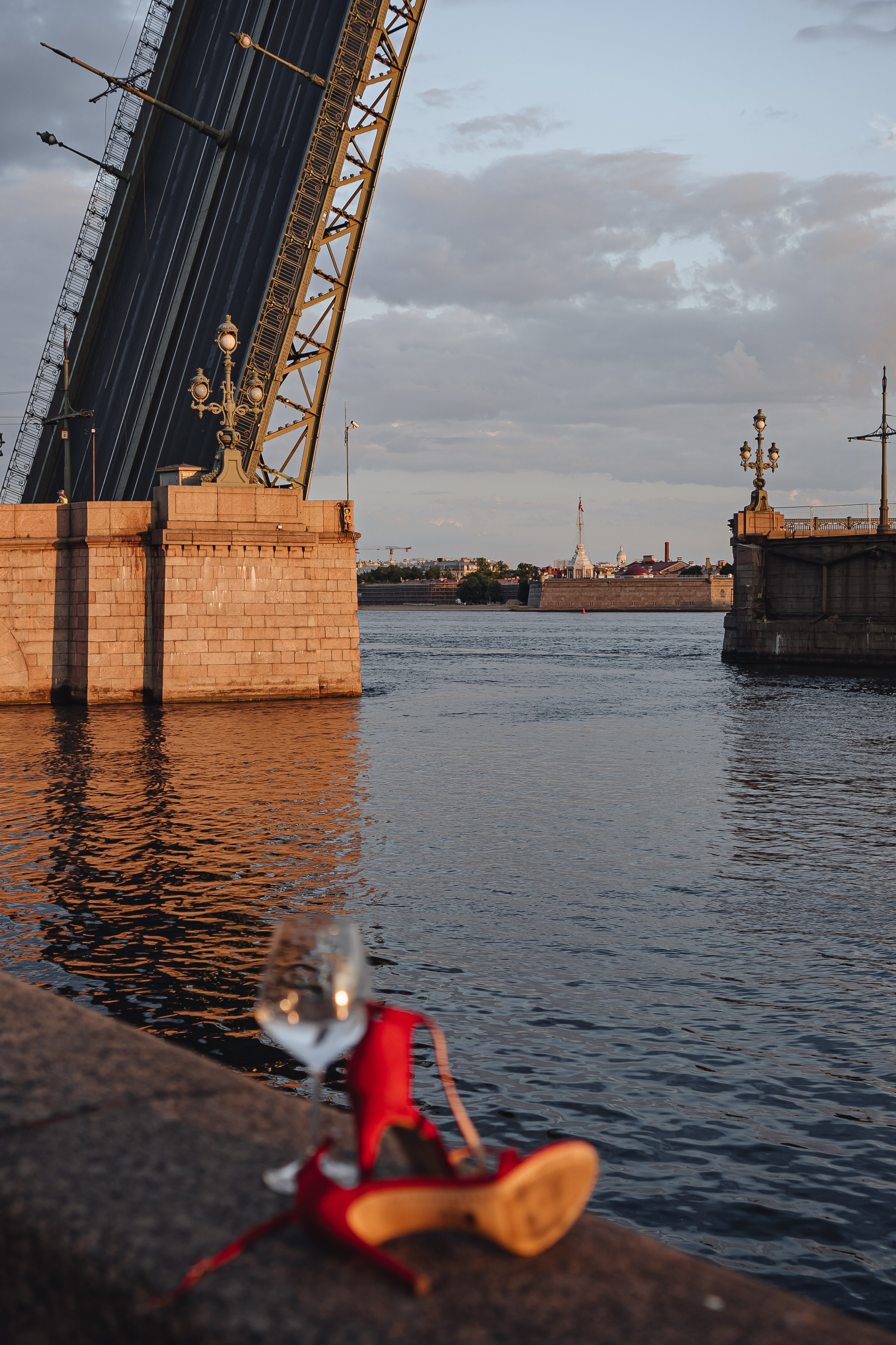 Прогулка на рассвете. Профессиональный фотограф, Санкт-Петербург — Виктория Богомолова