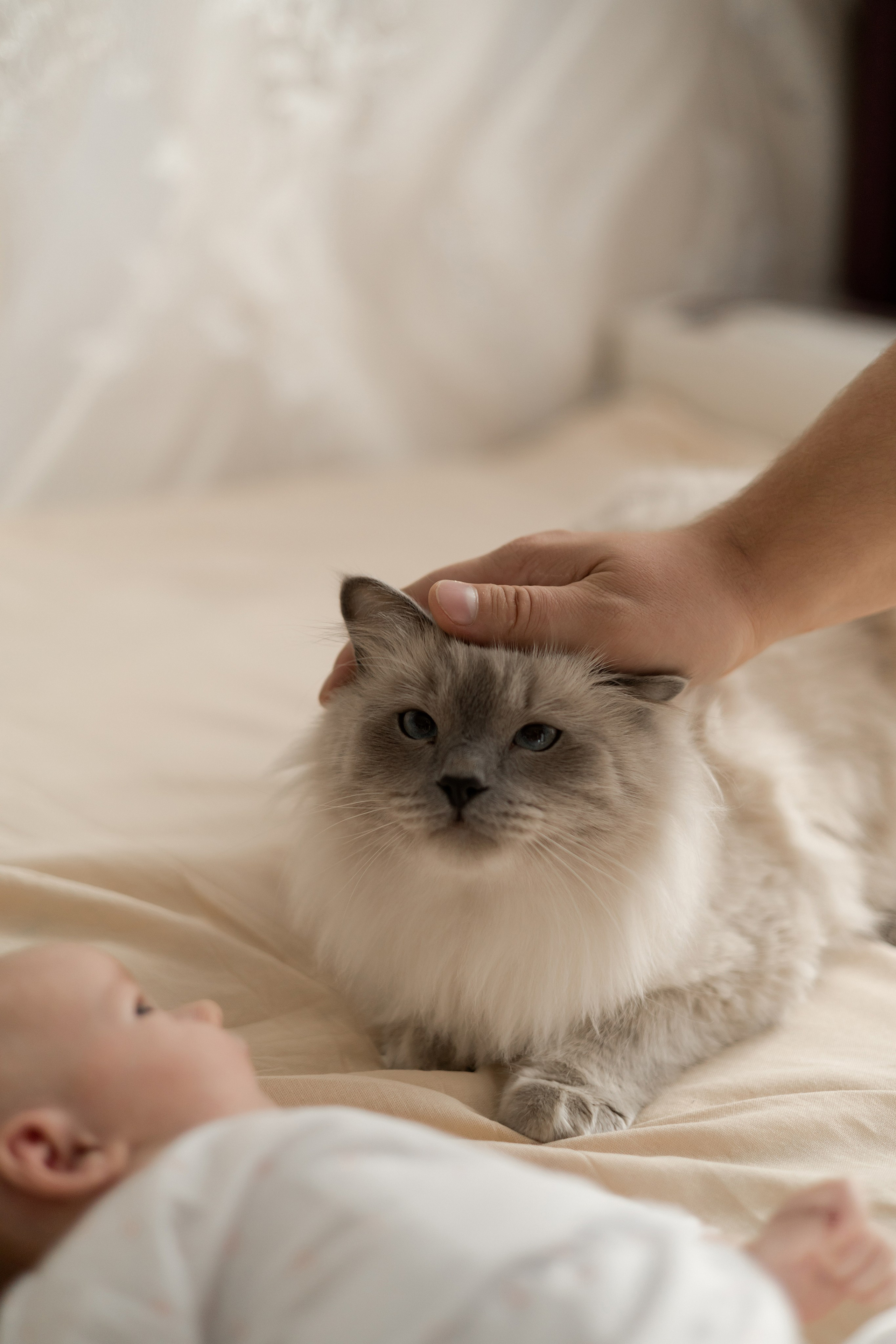 Полина, Коля и Саша. Свадебный фотограф в Пскове и Санкт-Петербурге | Анна Голикова