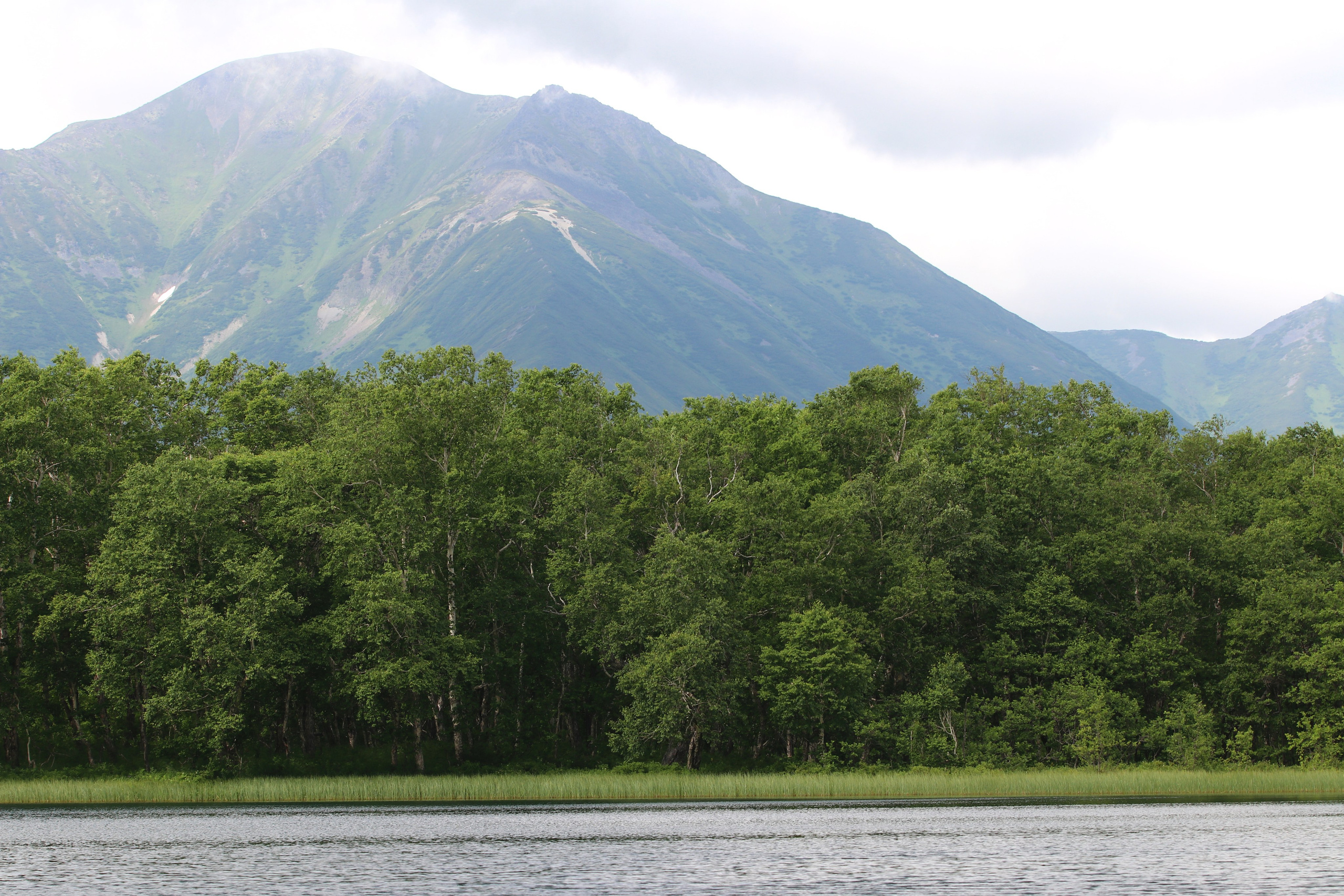 Камчатка и о. Парамушир. Июль 2024. Путешественник-фотограф из Санкт-Петербурга Татьяна Свистулина