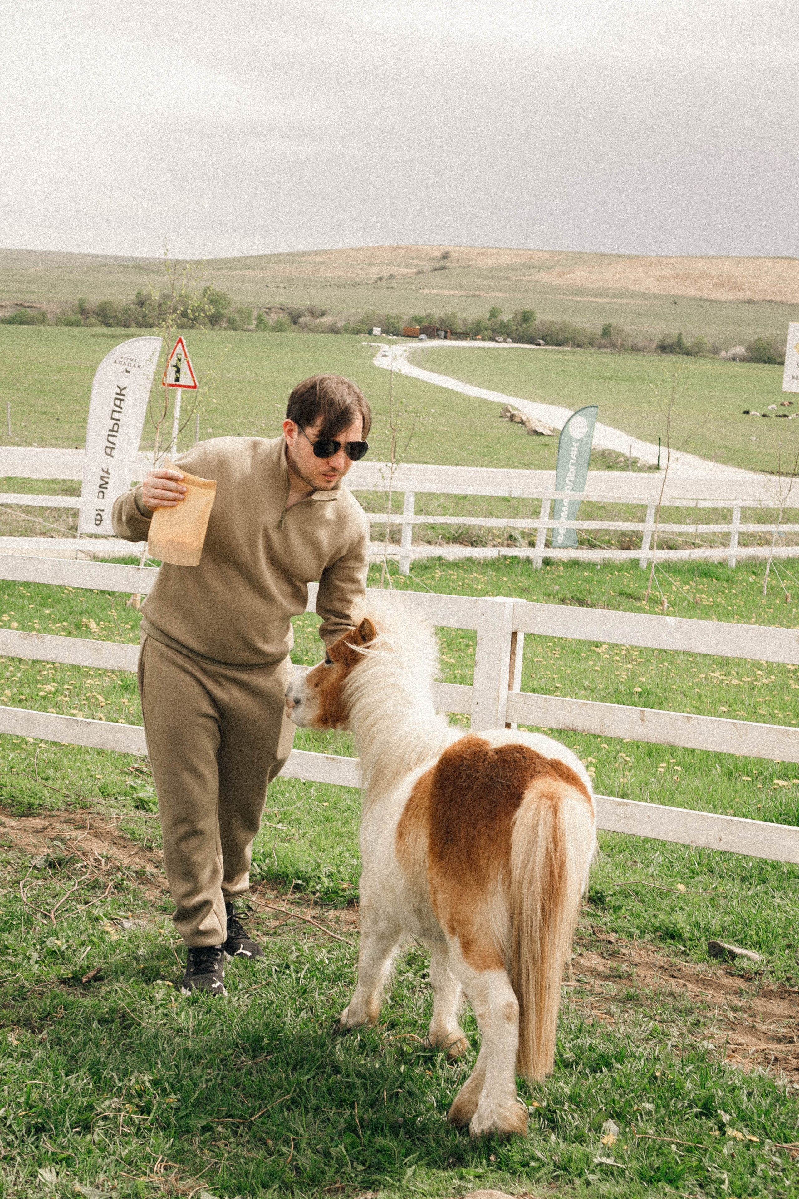 Ферма Альпак. Профессиональный фотограф, Санкт-Петербург — Виктория Богомолова