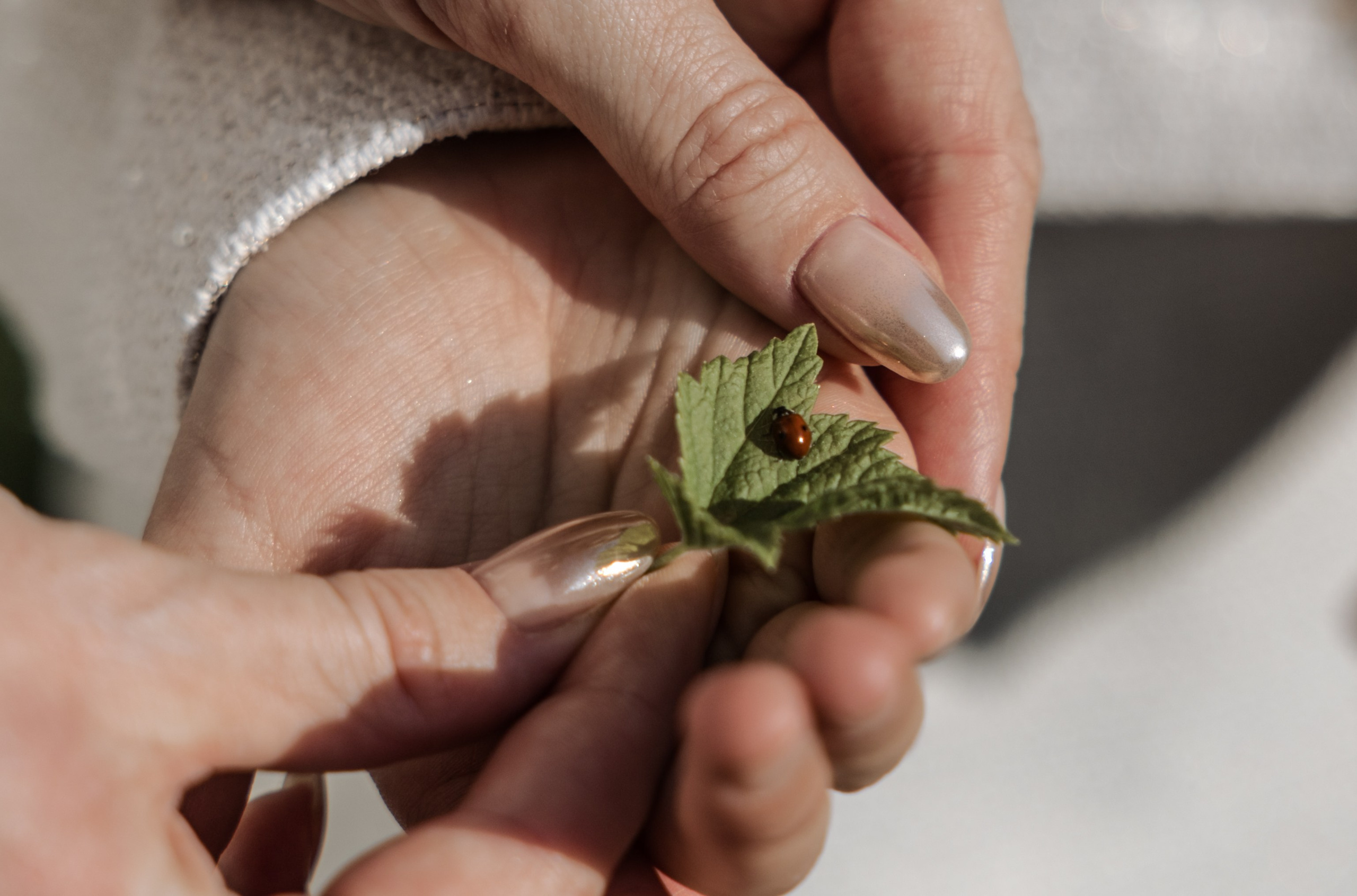 МЫ С ТОБОЮ СВЯЗАНЫ. Фотограф Наталия Бирюкова