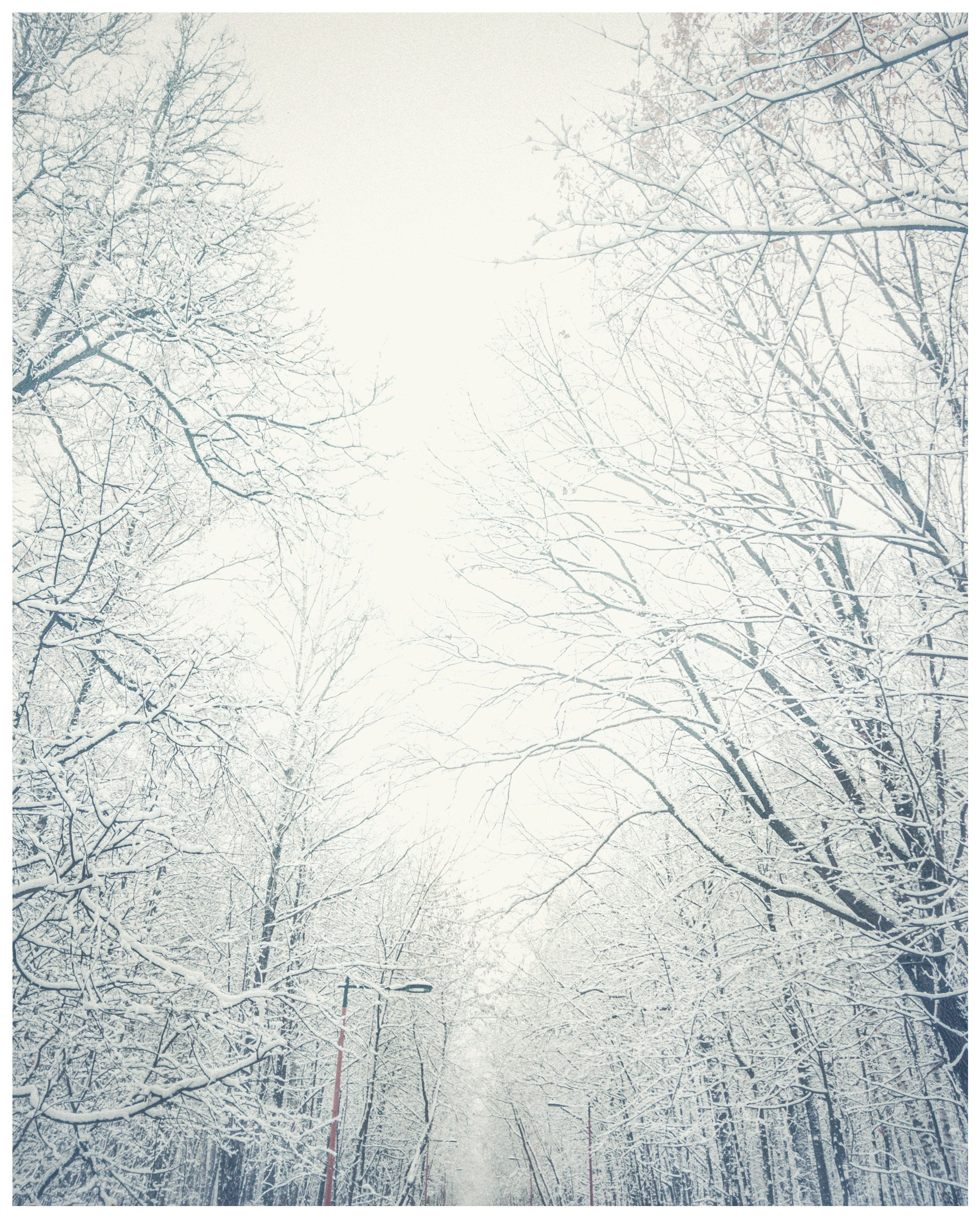 Мир повседневных Вещей. Репортажный и портретный фотограф, Влад Хафизов, Москва