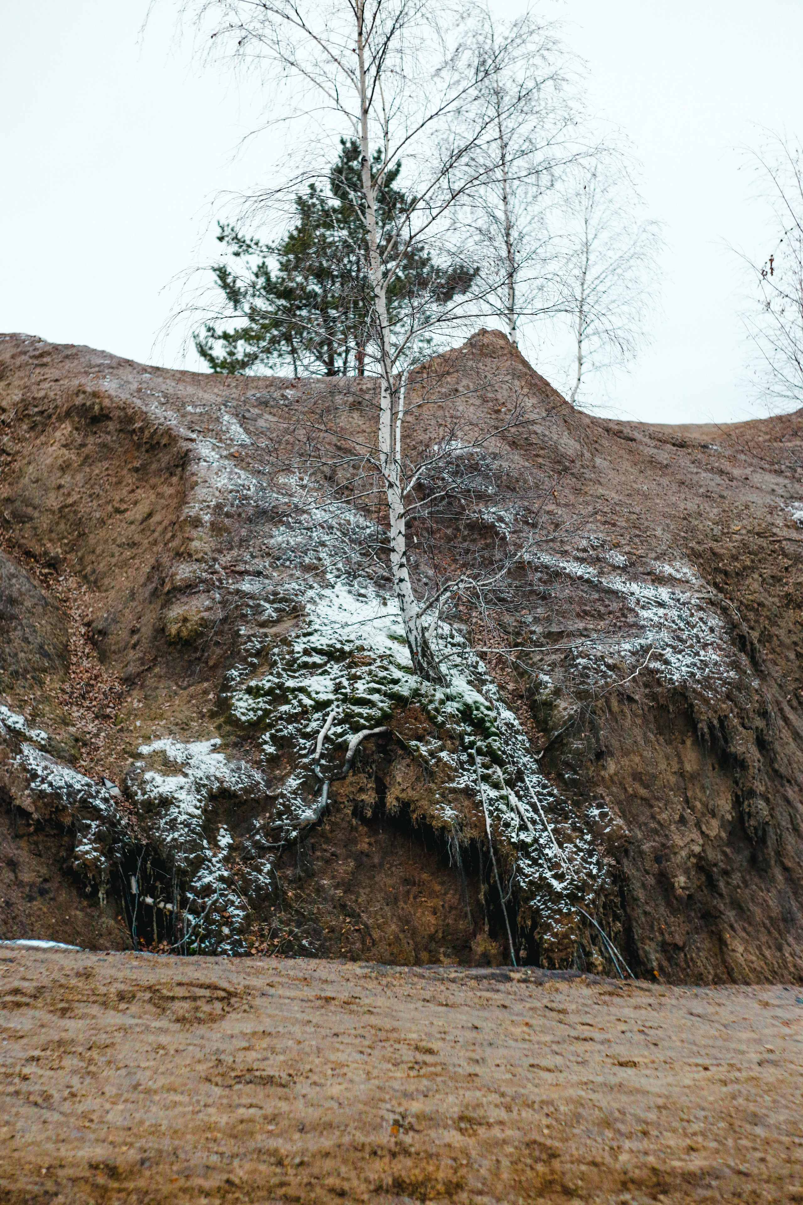 Ноябрь 2022. Efremovaphoto.ru