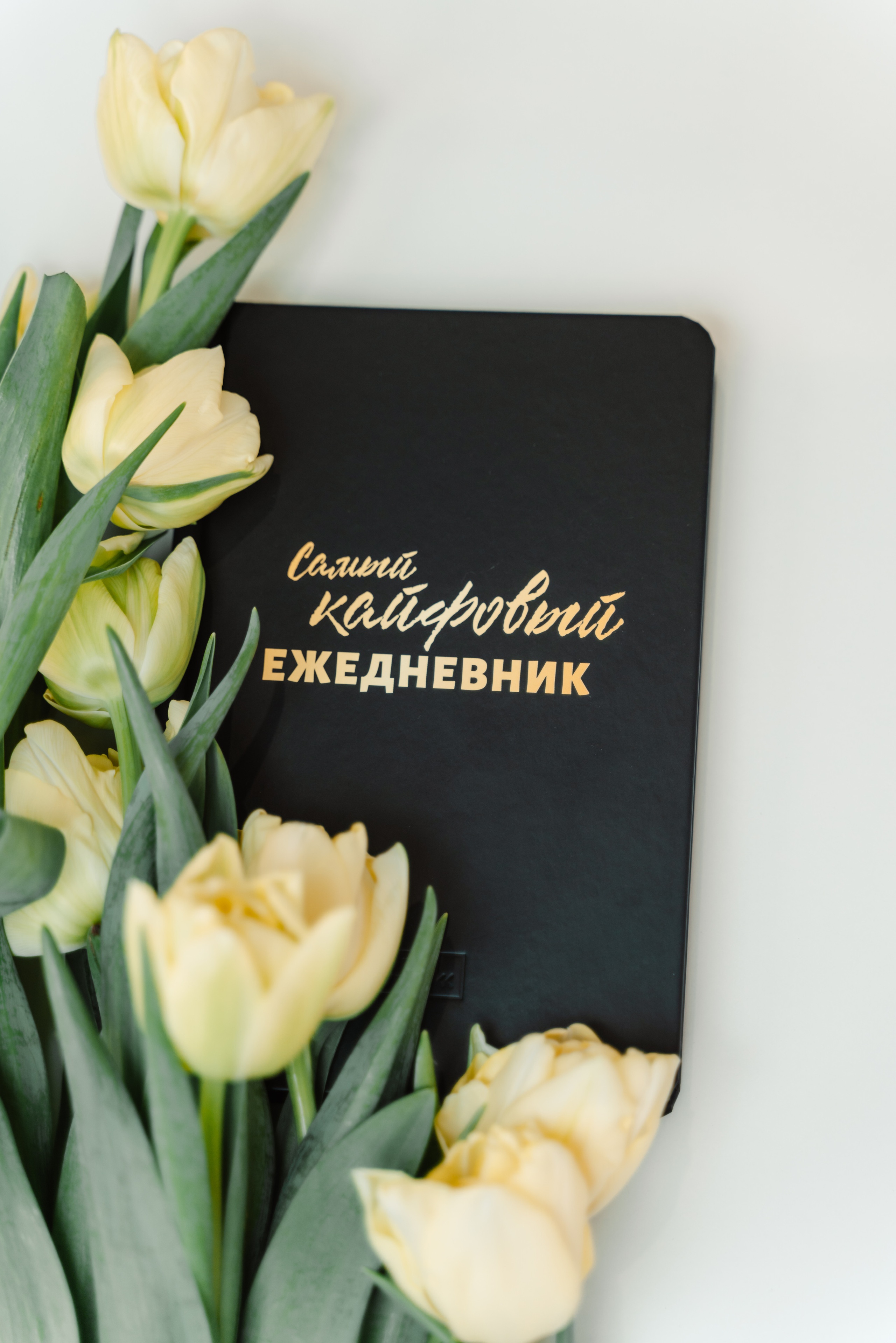 Ежедневники. Семейный и бренд фотограф