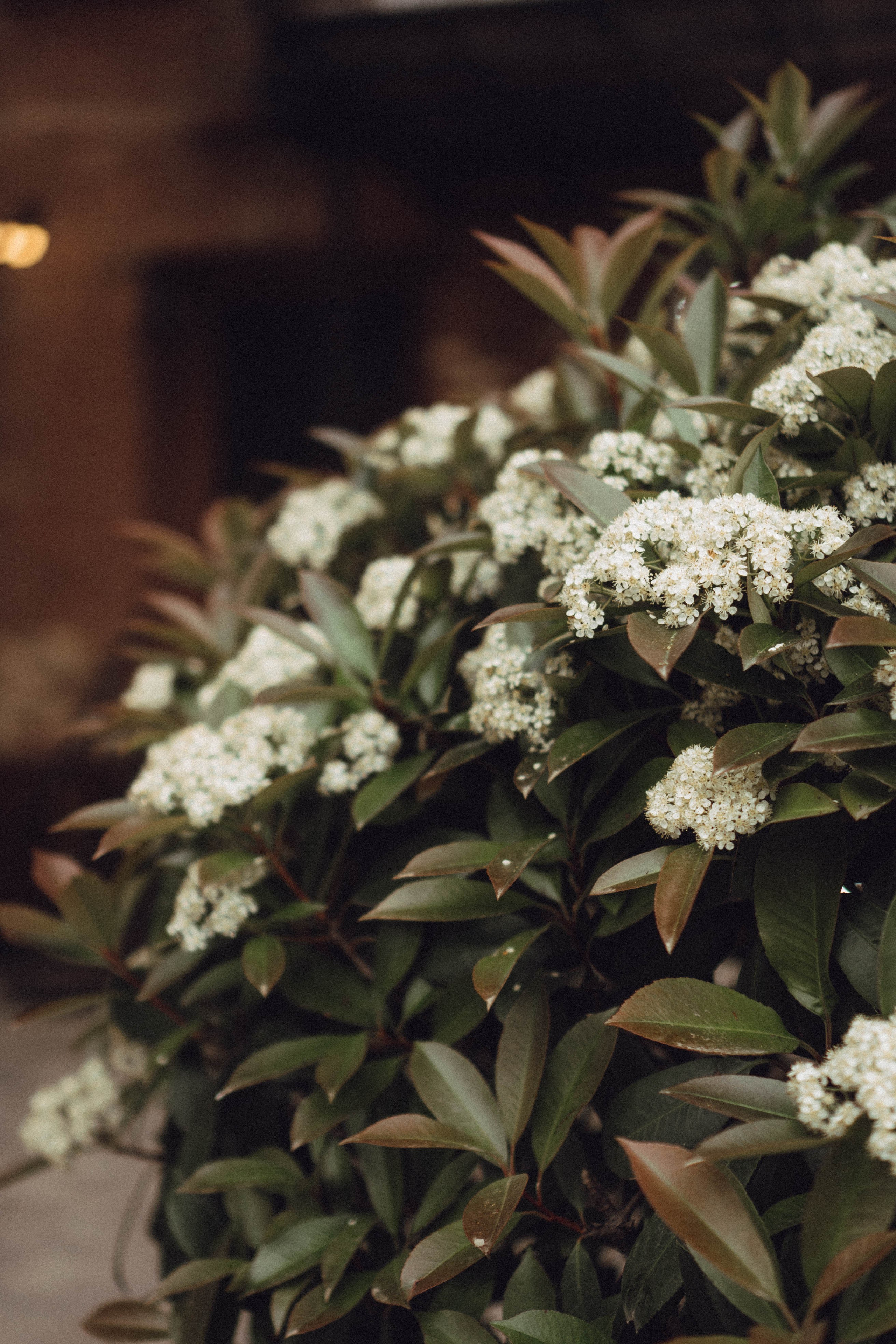 Кавказ. Профессиональный фотограф, Санкт-Петербург — Виктория Богомолова