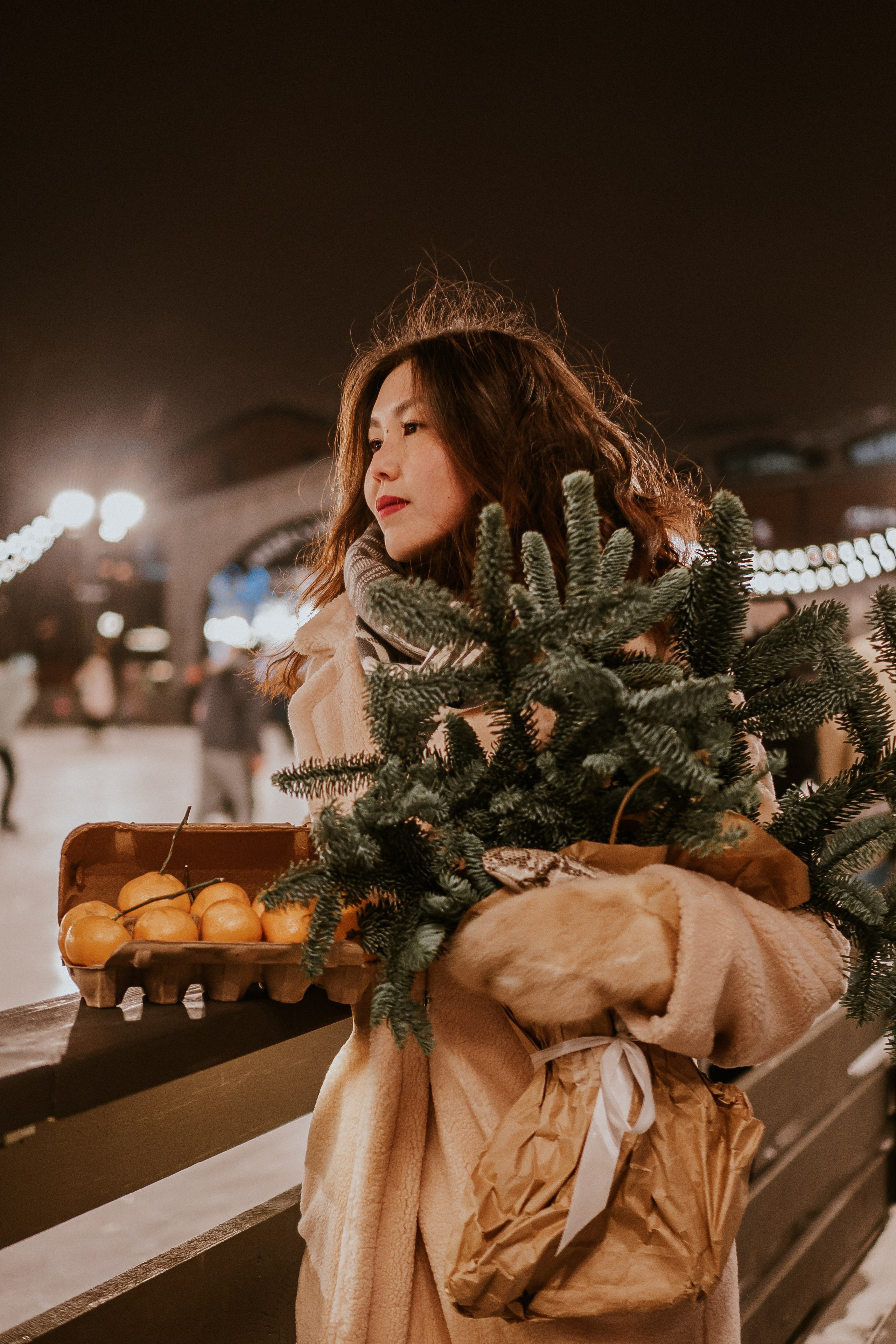 Зимняя сказка в Новой Голандии. Профессиональный фотограф, Санкт-Петербург — Виктория Богомолова