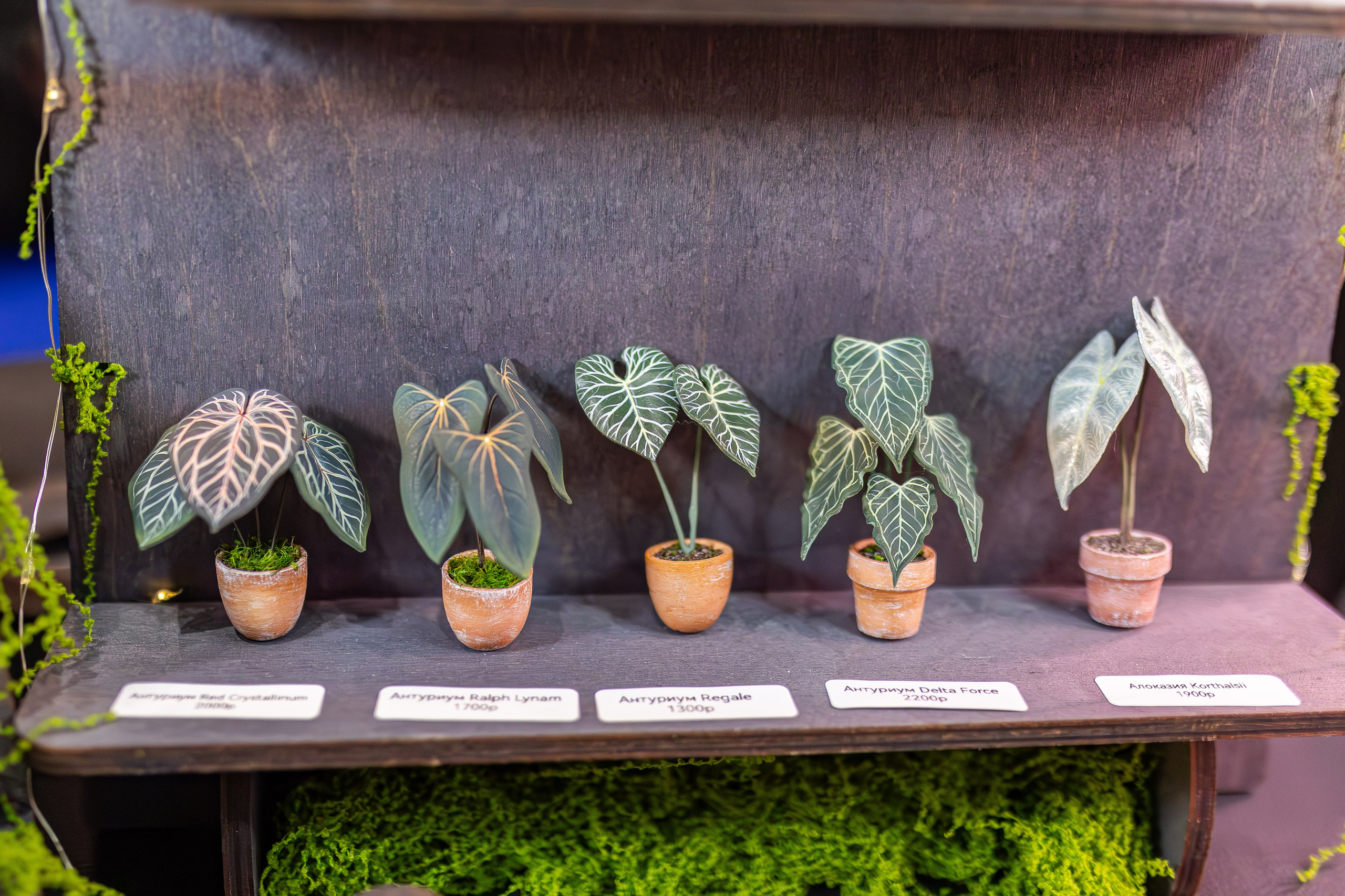 Монстериум апрель 2026. Александра Куликова фотограф, Москва