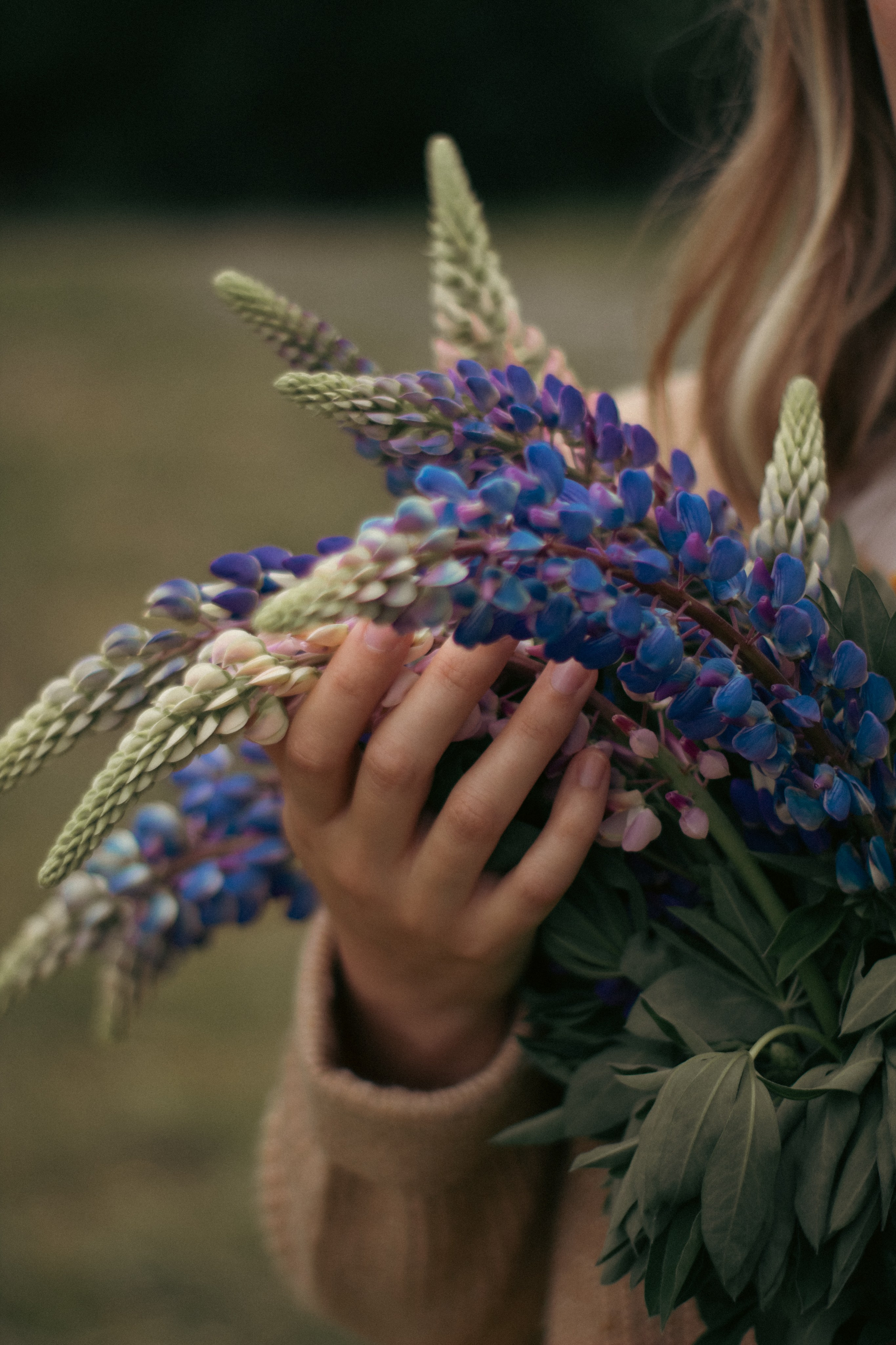 Lupins. Свадебный и семейный фотограф в Красноярске Леонид Максимов