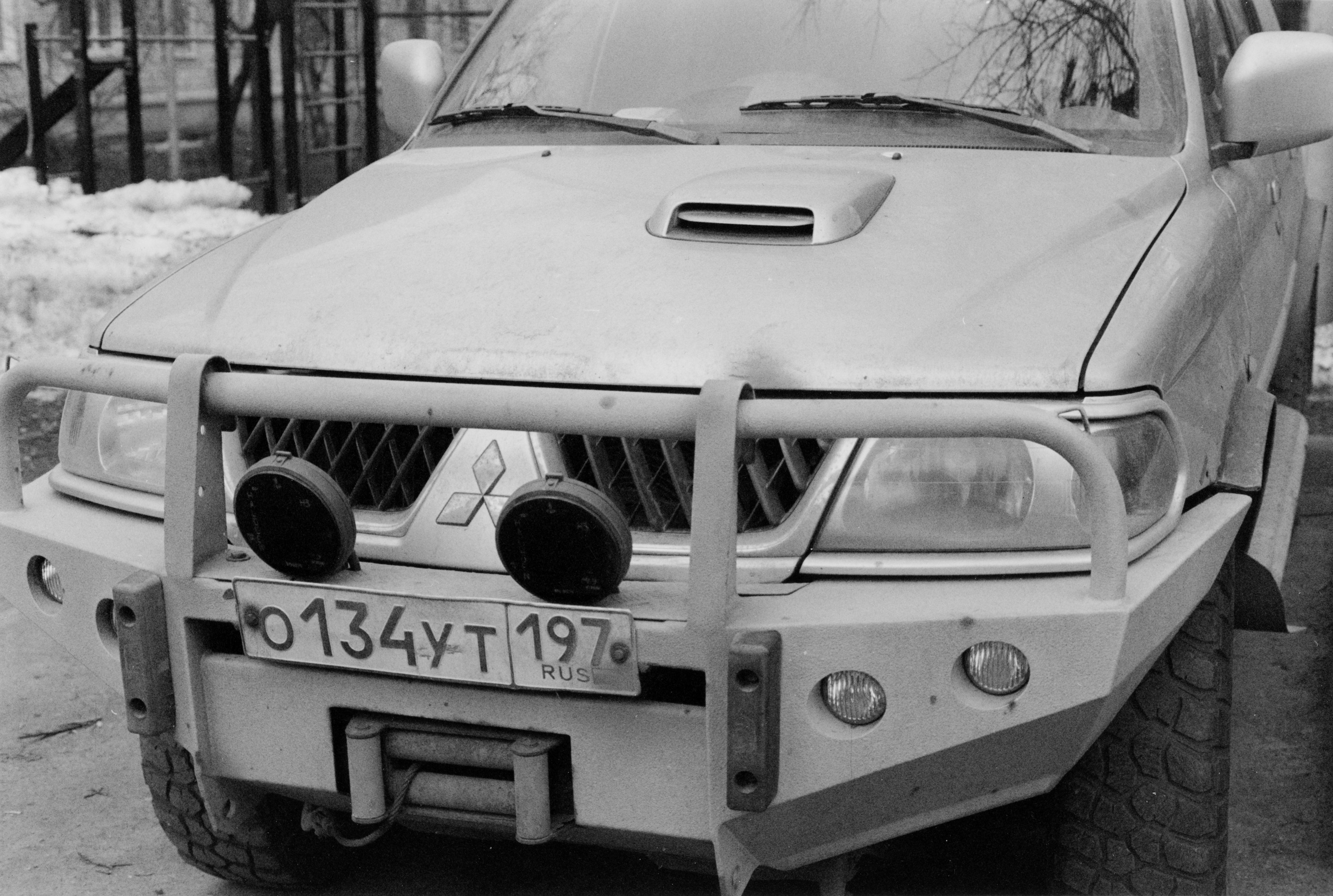 Prints. Maria Abdullaeva