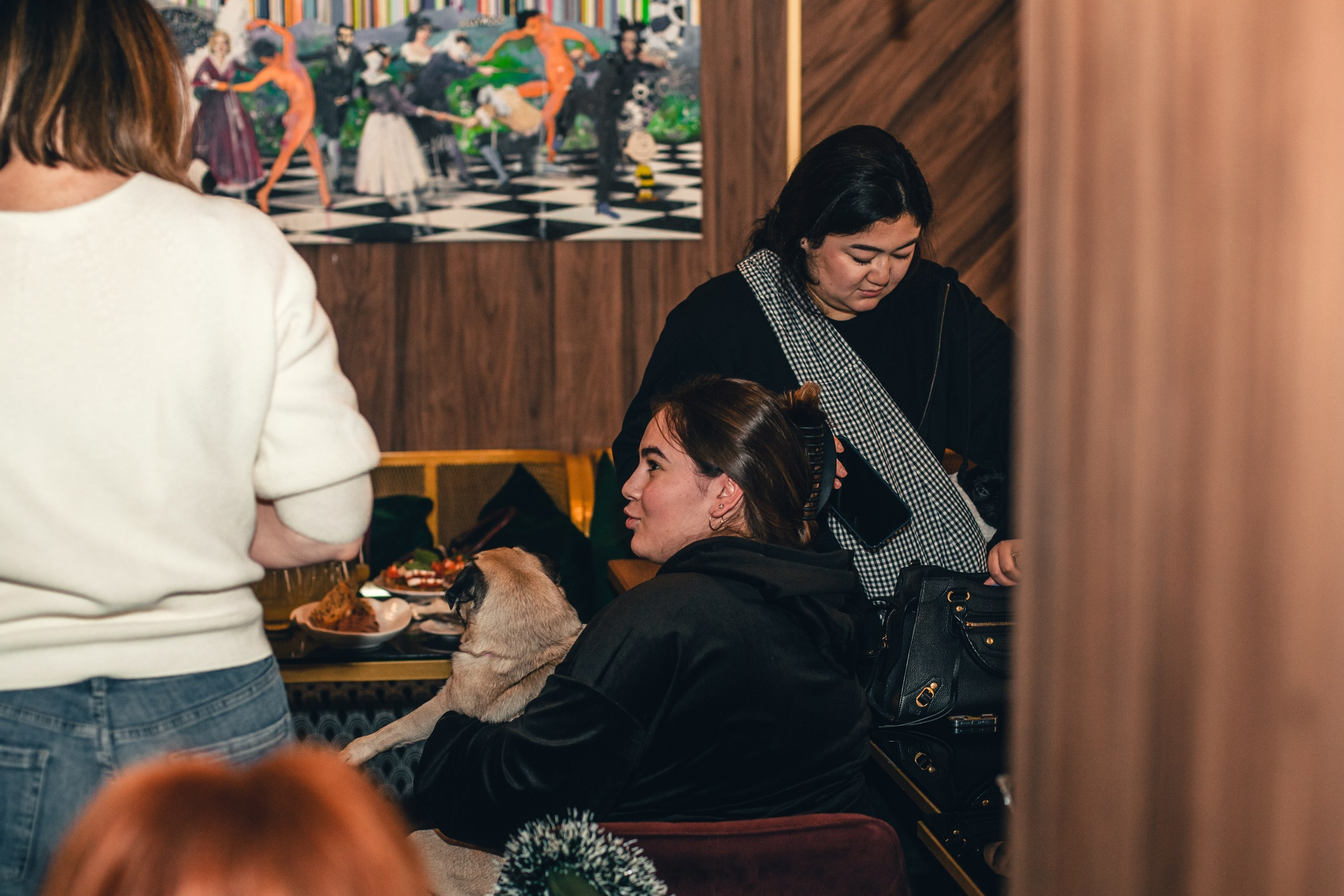 Мопсовстреча 02.12.2023. Фотограф-анималист Татьяна Степанова