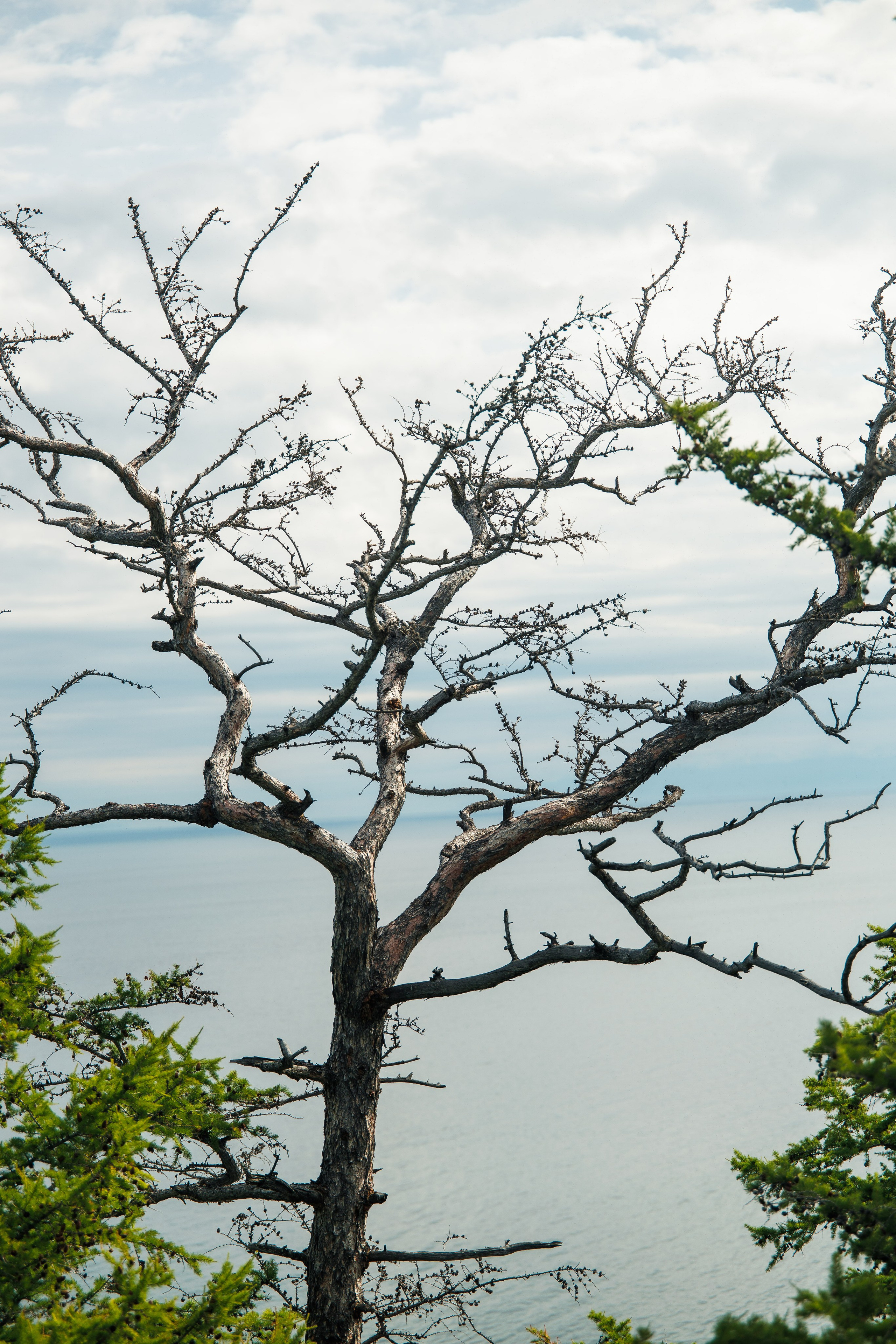 Летний Байкал
