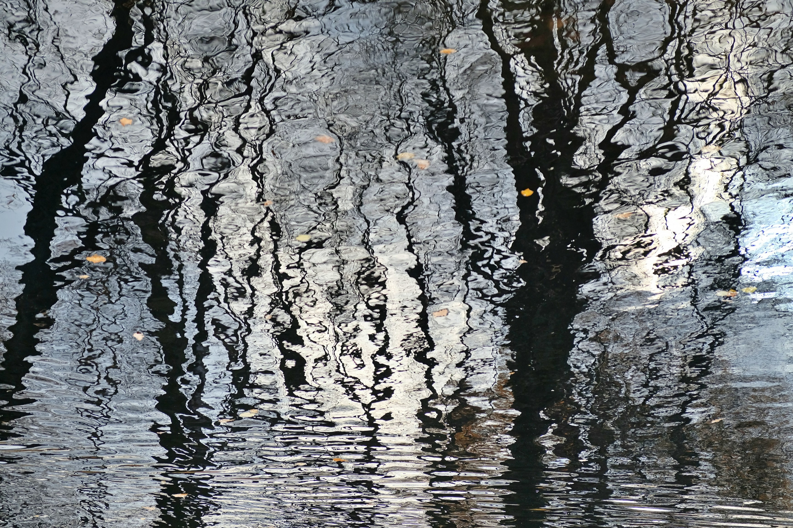 Пейзажи. Фотограф Дмитрий Алексеев