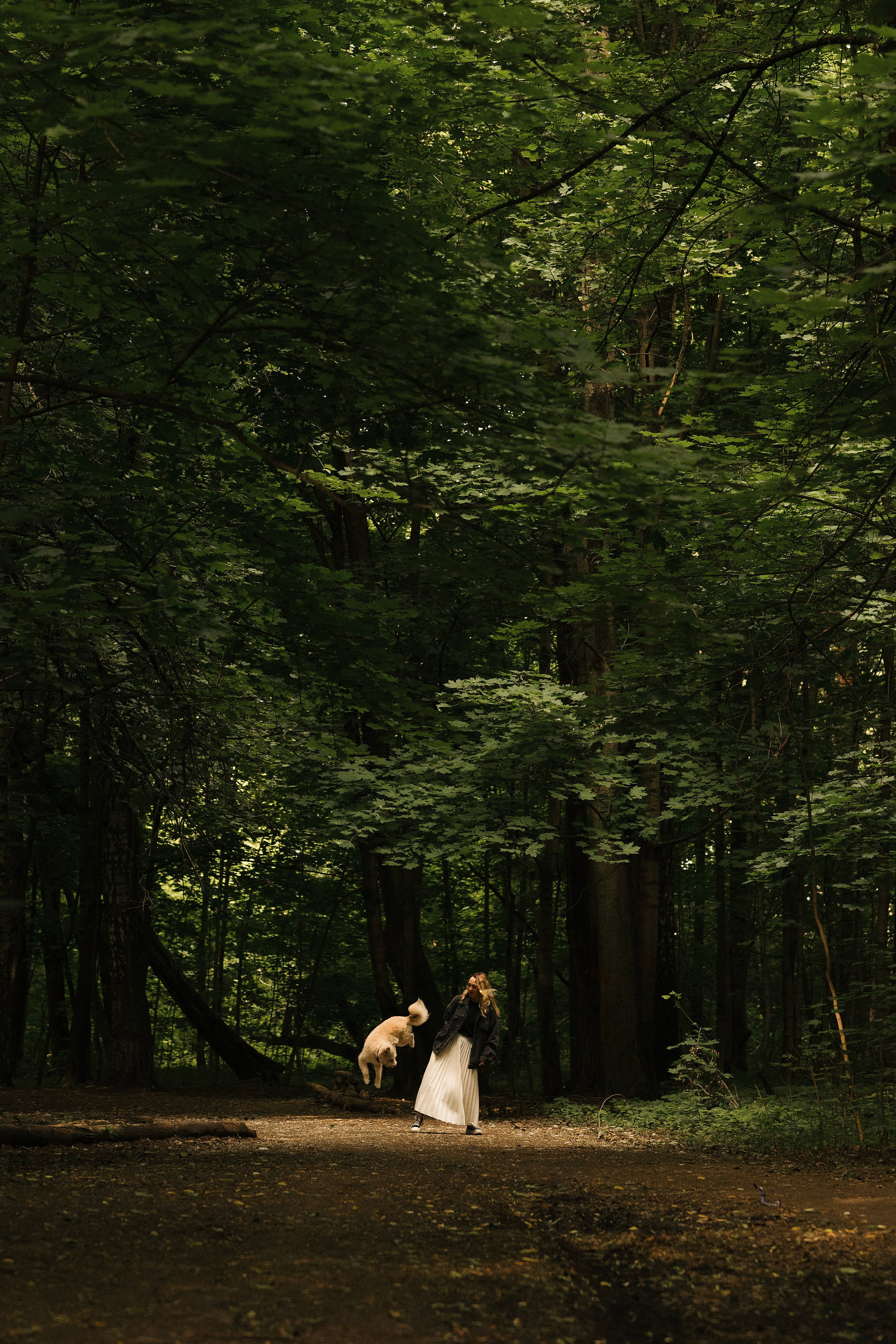 Акиро и Йоши. Фотограф- анималист Александра Матвеева