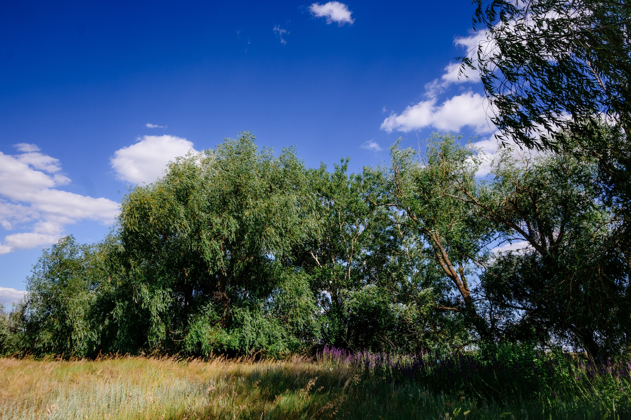 Пейзажи. Фотограф в Уральске | Трищенков Гордей