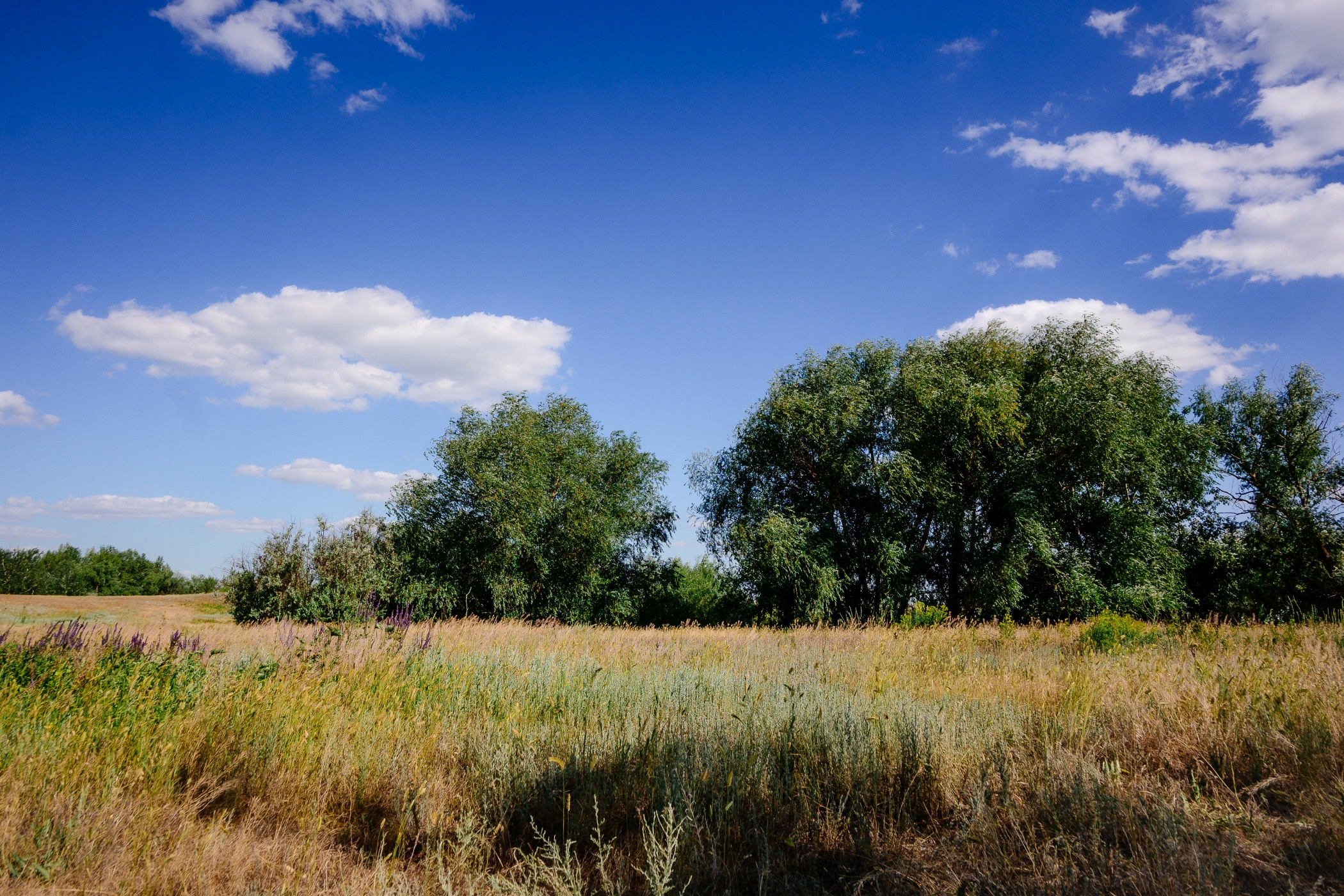 Пейзажи. Фотограф в Уральске | Трищенков Гордей