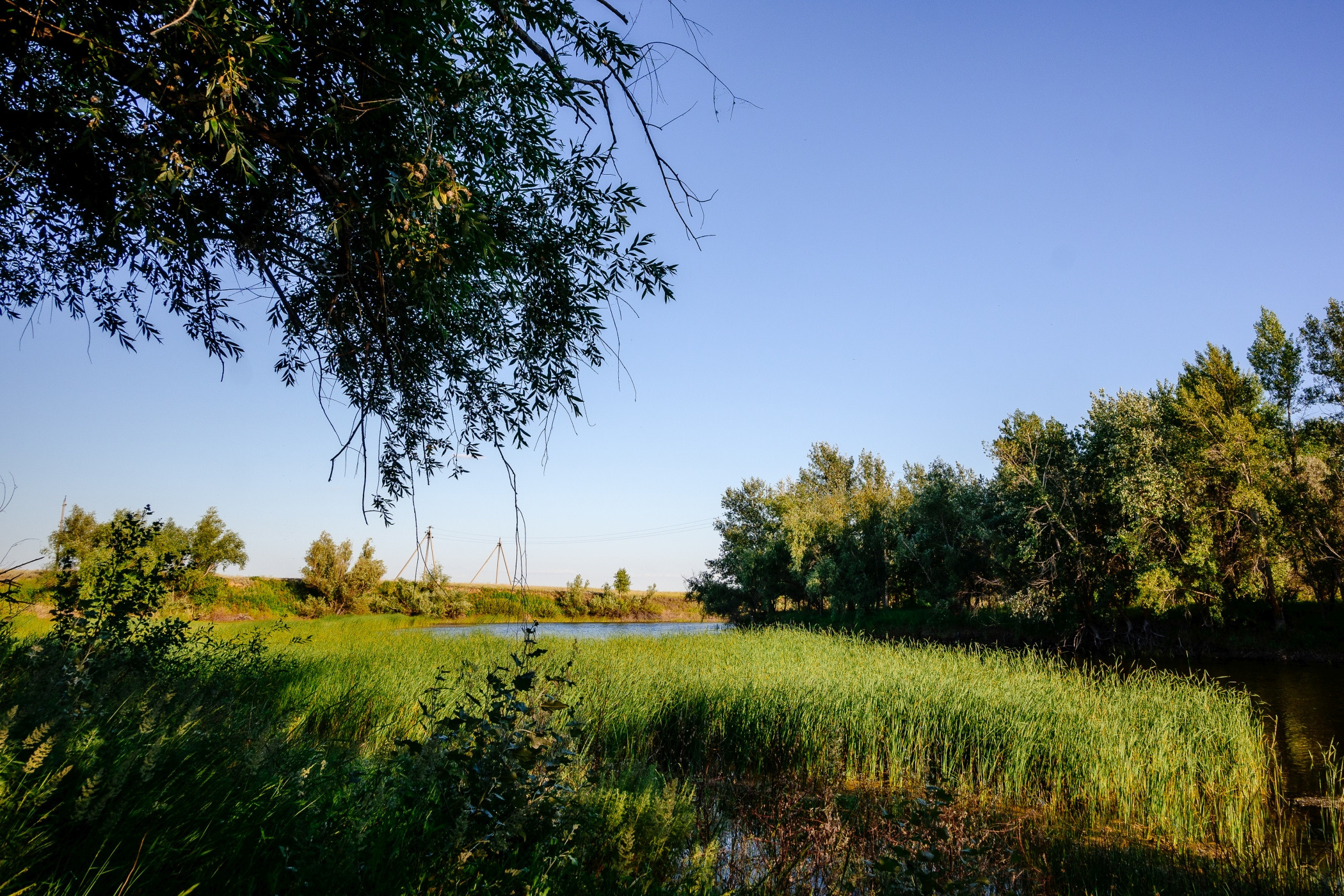 Пейзажи. Фотограф в Уральске | Трищенков Гордей