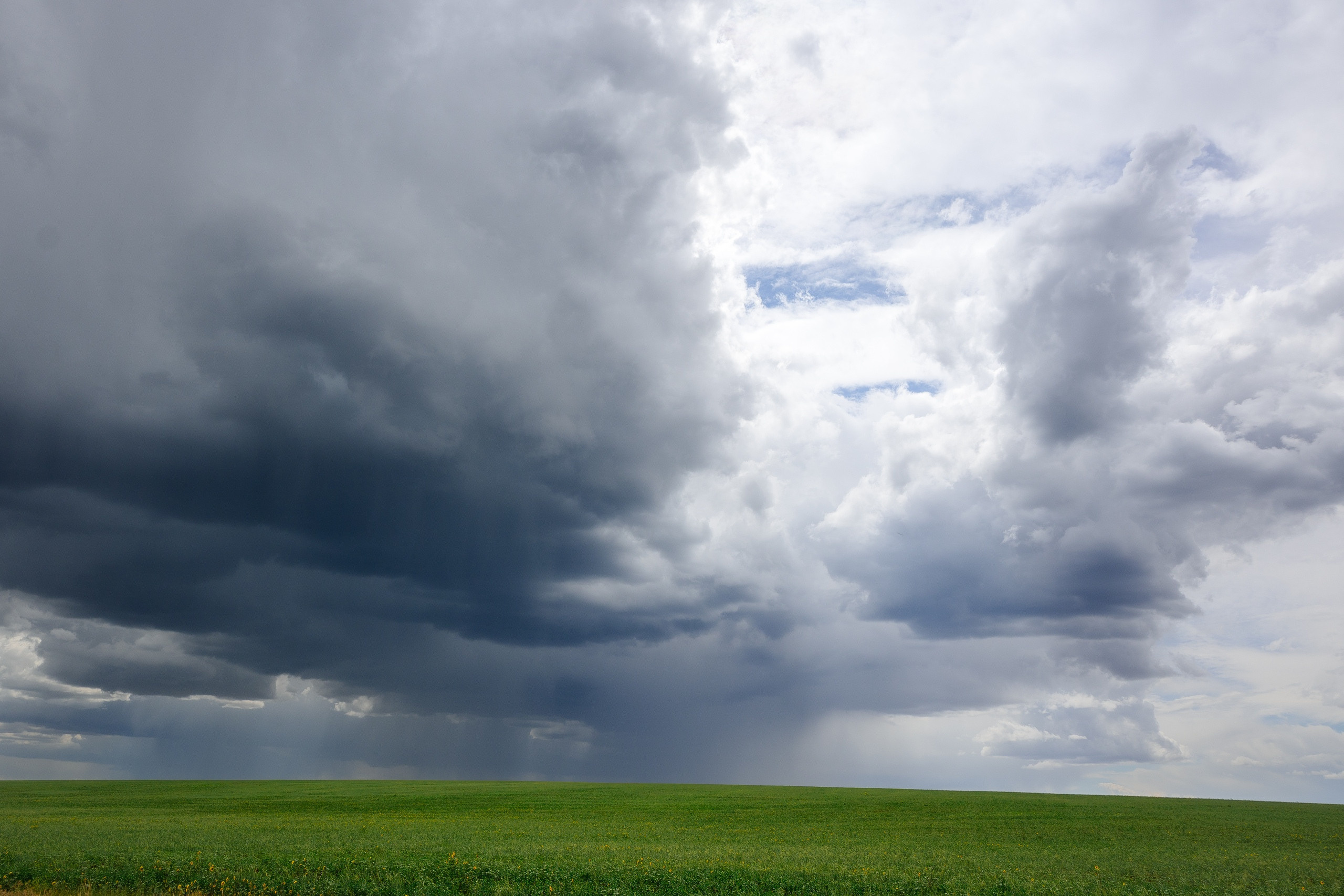 луг, трава, тучи, облака