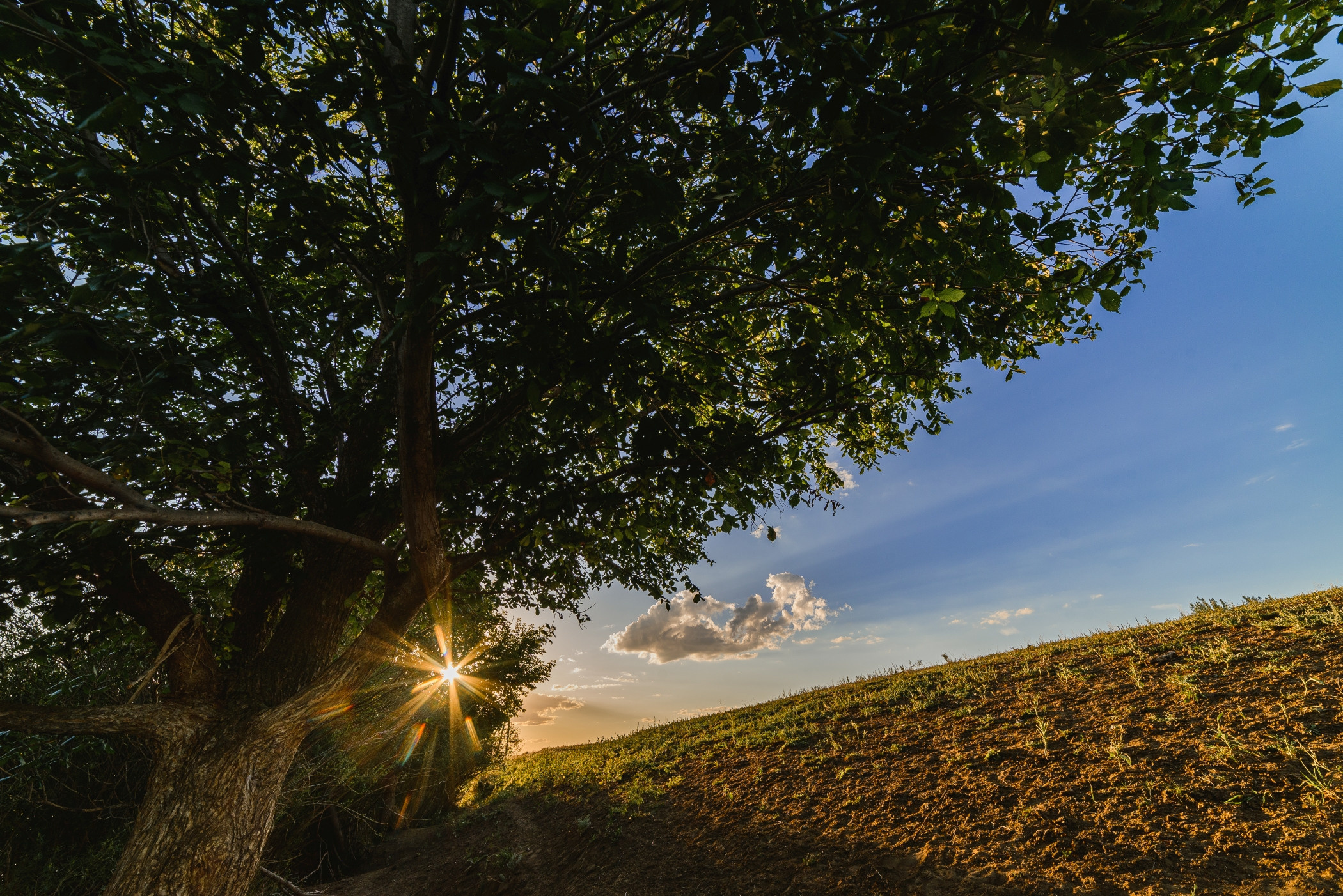 закат, солнце, лучи
