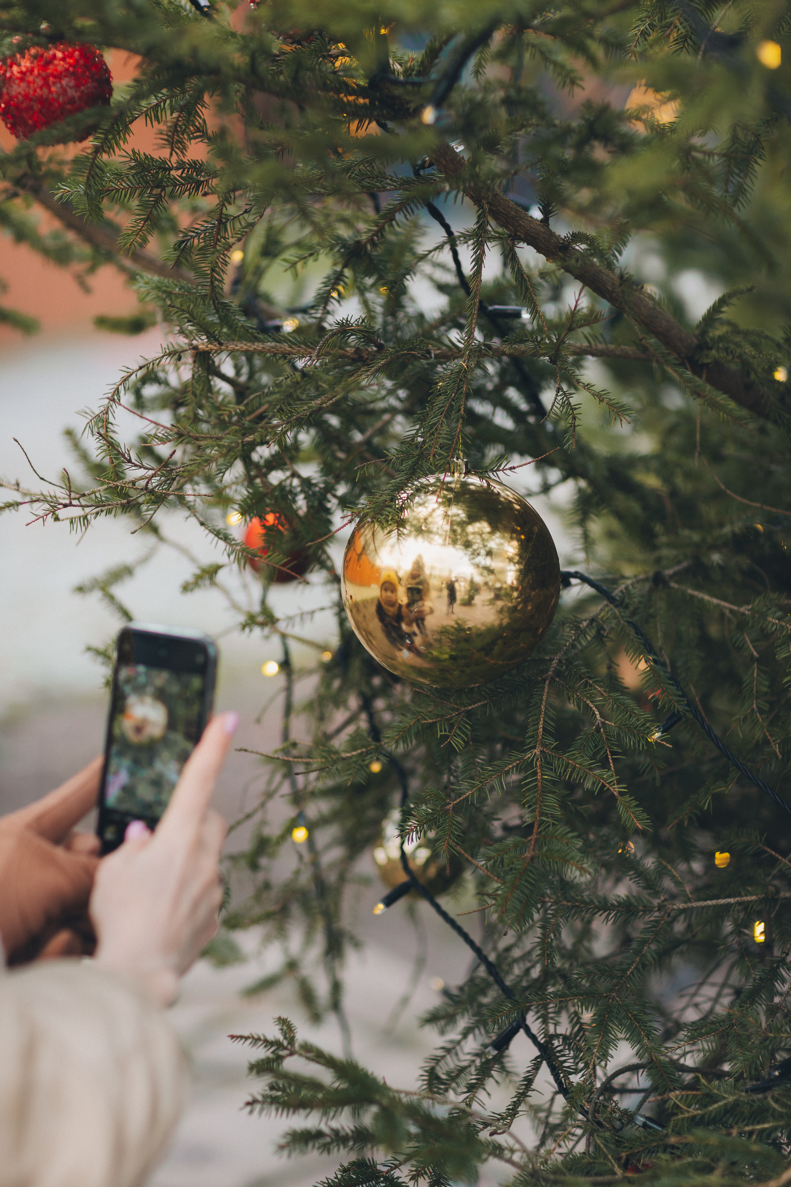 Анастасия и её мужчины. Фотограф Зеленоградск Красильникова Елена