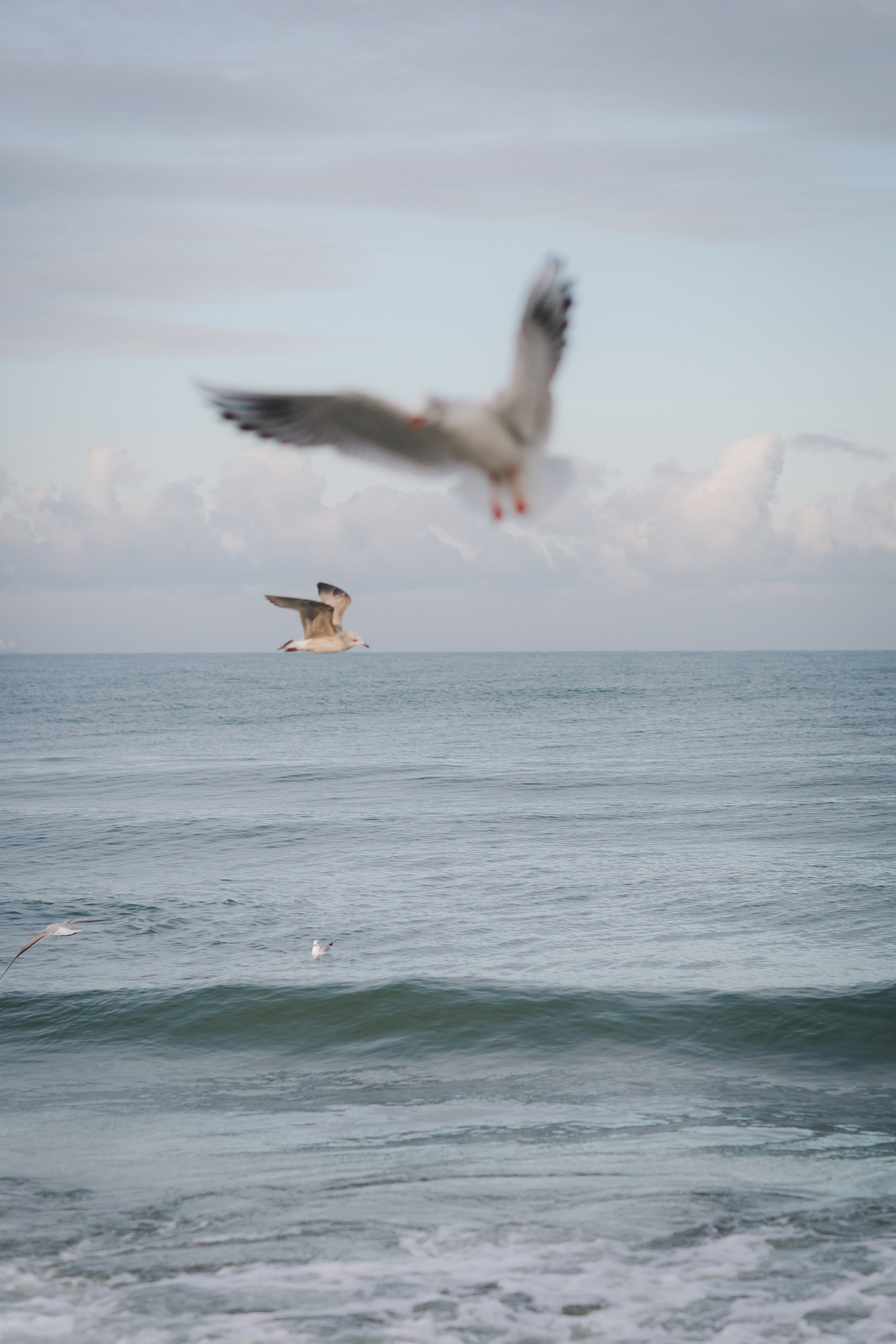 Алина и Алексей. Фотограф Зеленоградск Красильникова Елена