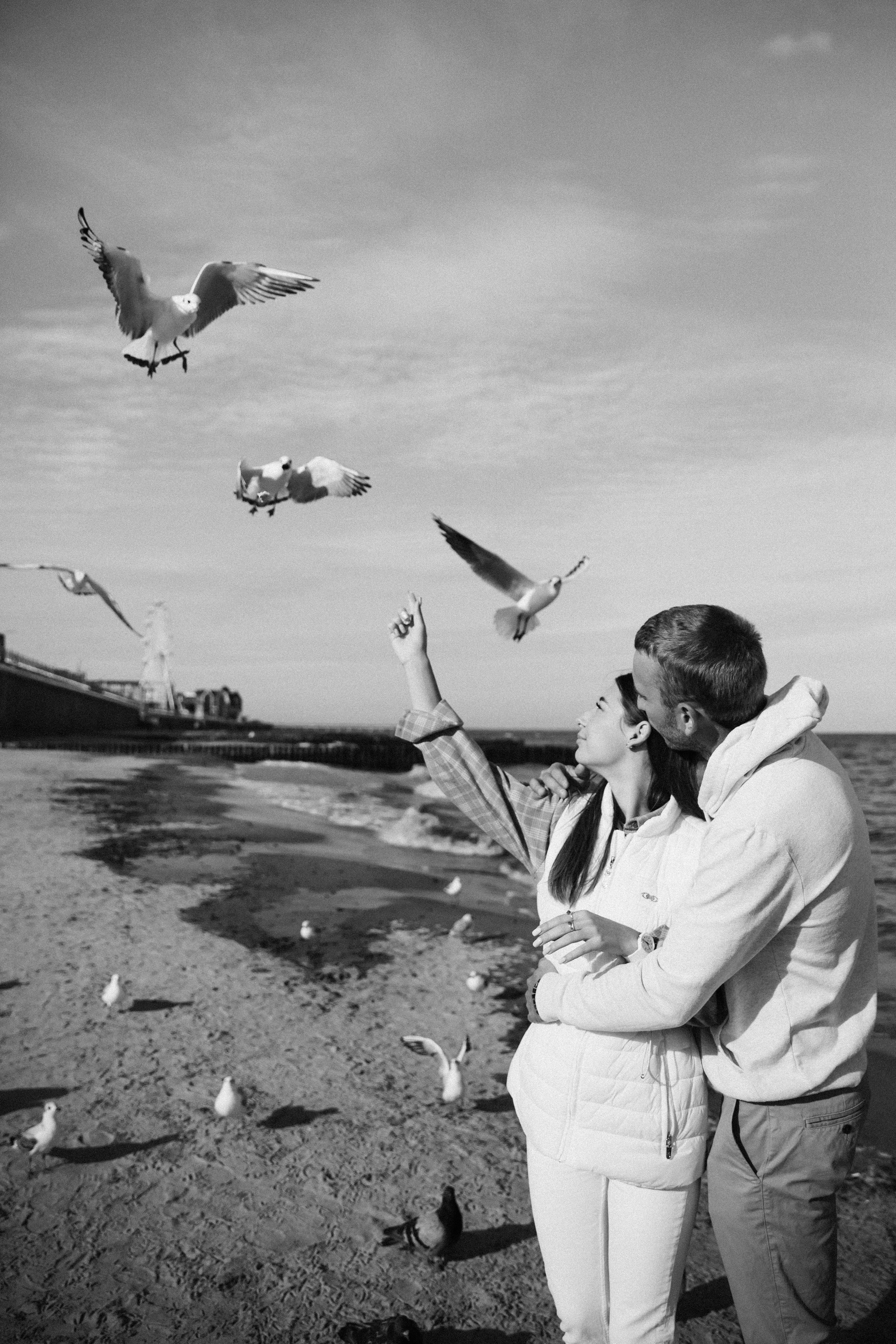 Солнечный сентябрь у моря. Фотограф Зеленоградск Красильникова Елена