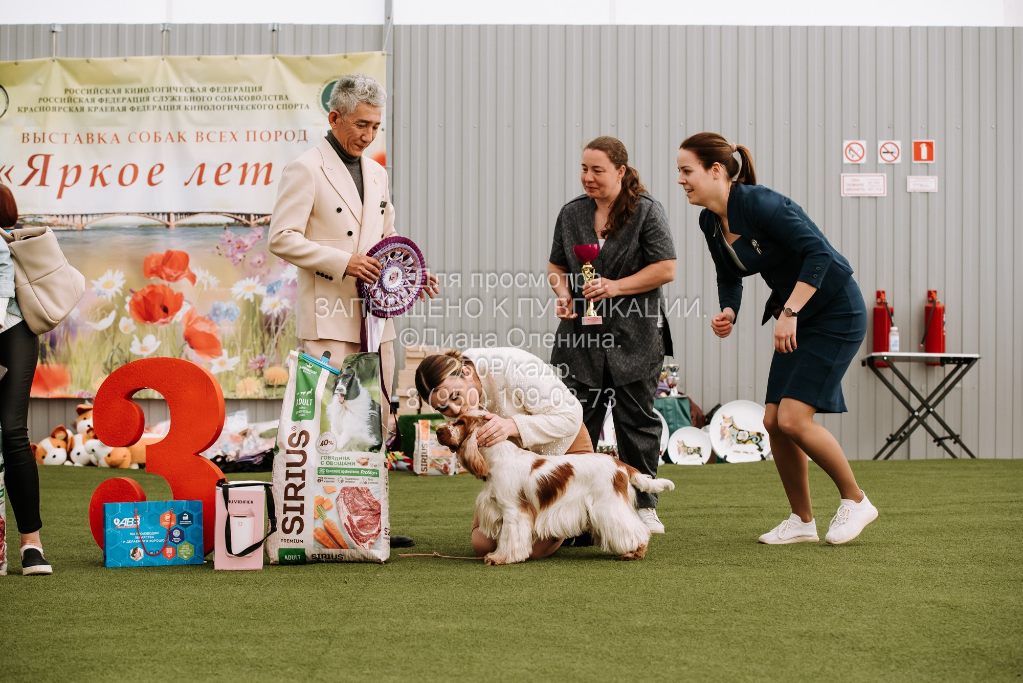 Выставка собак Красноярск 2.06. Фотограф Диана Оленина Красноярск / Братск