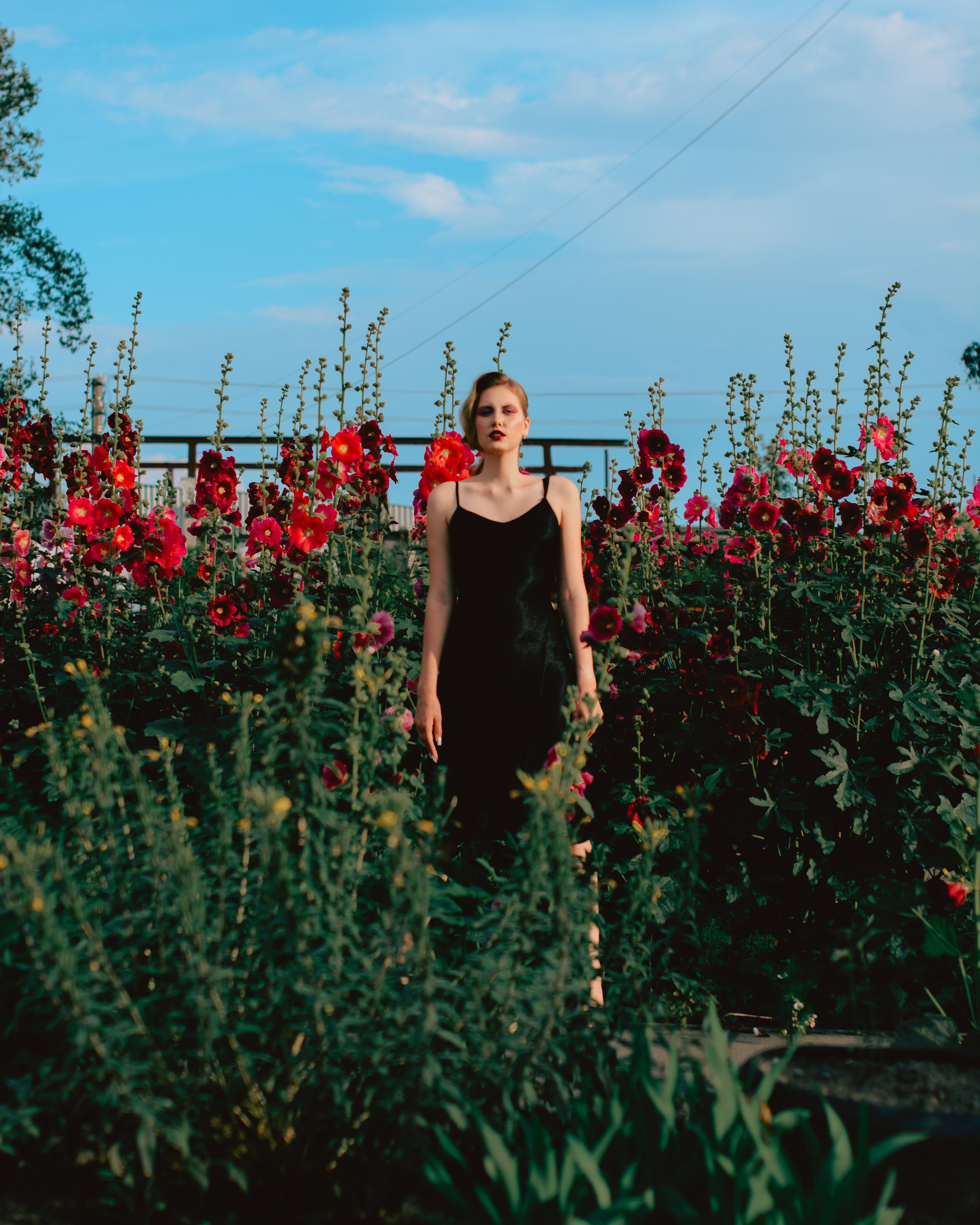 Mal'va. Фотографирую искусство в Хабаровске