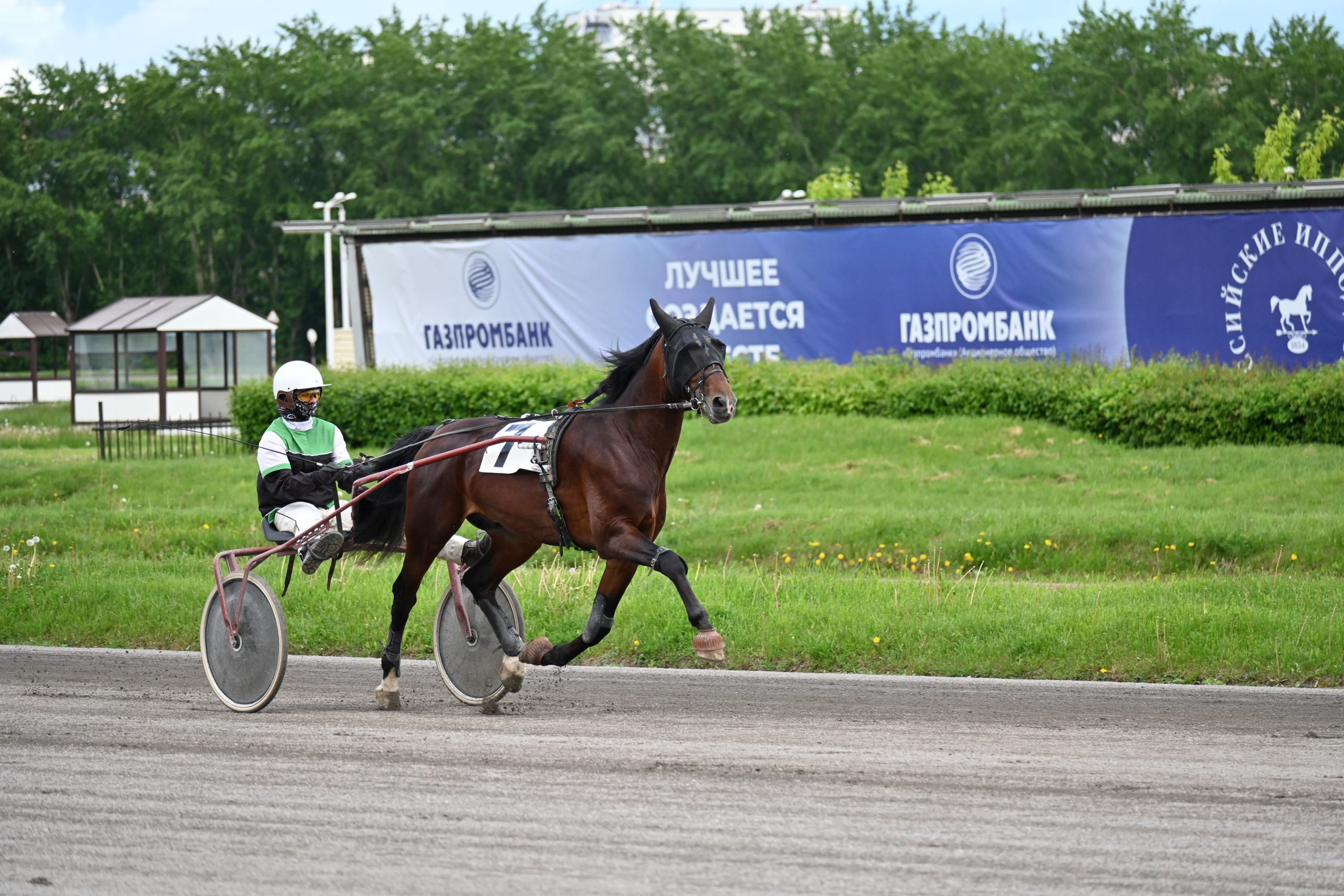 Московский ипподром. Fotolux