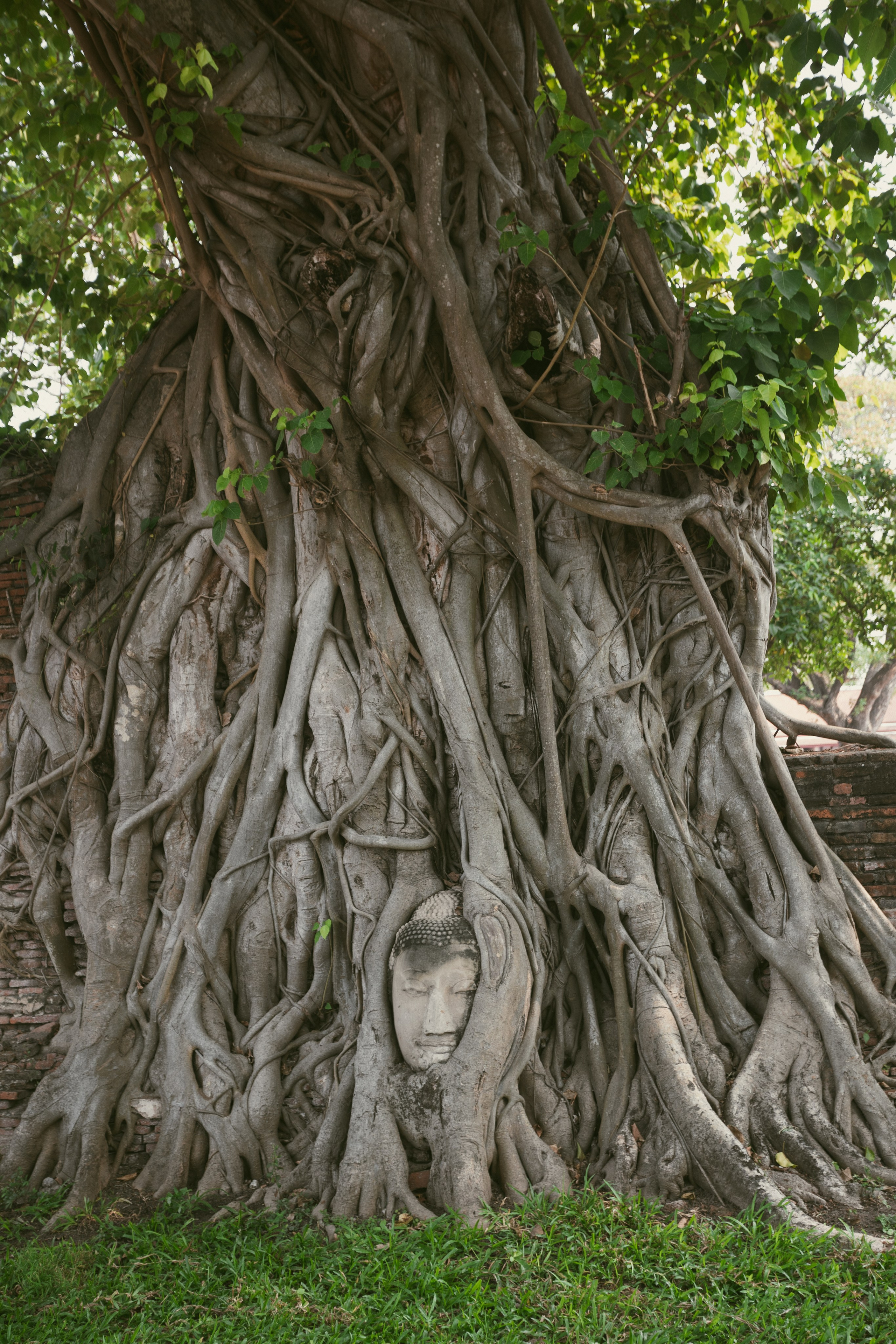 Ayutthaya. Photographer Sonkina Tatiana (Tanya Ash)