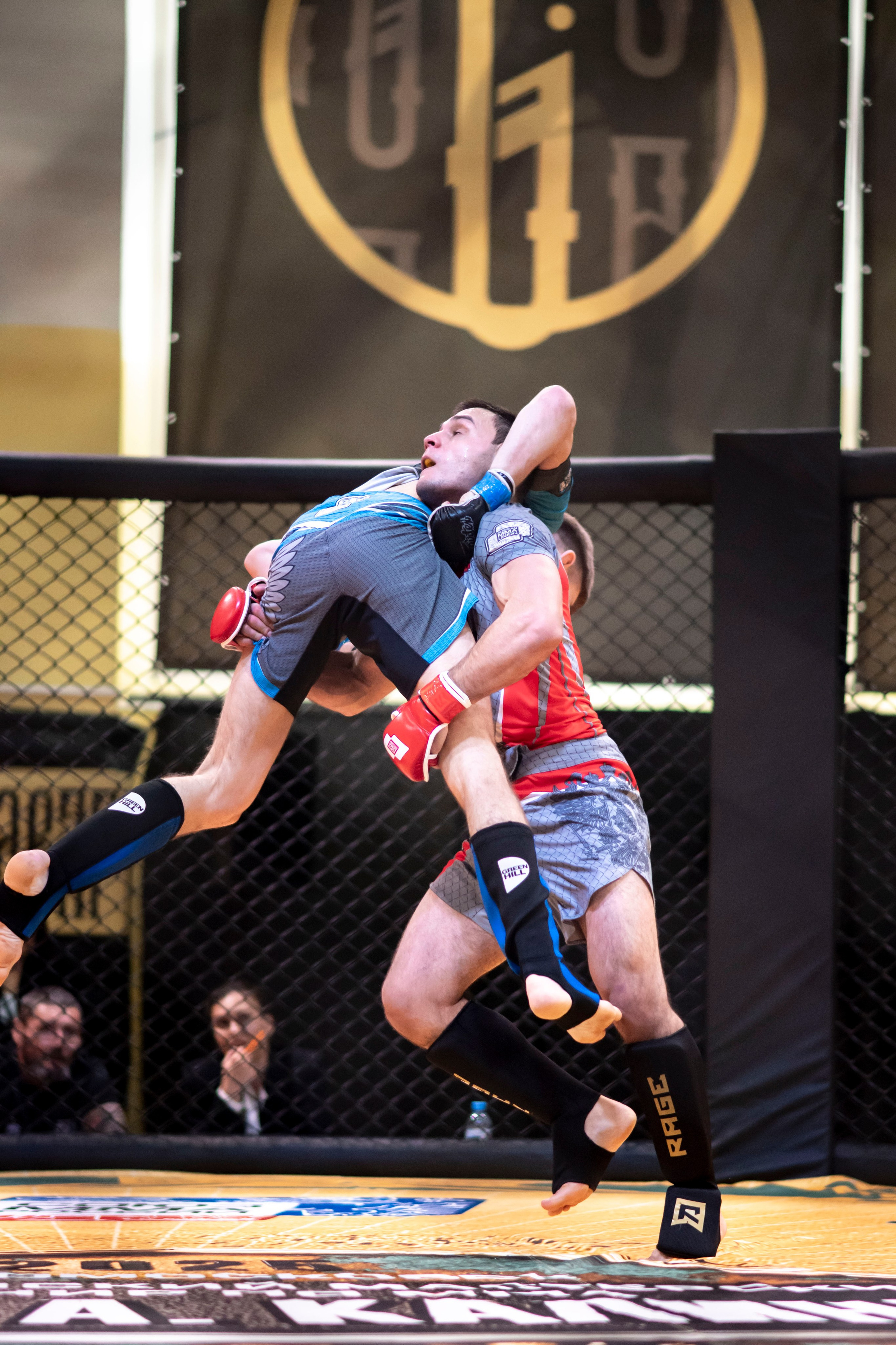 Всероссийский турнир ММА. Новомосковск, ноябрь 2025. Спортивный фотограф в Туле и Тульской области. Файсханова Фото Спорт