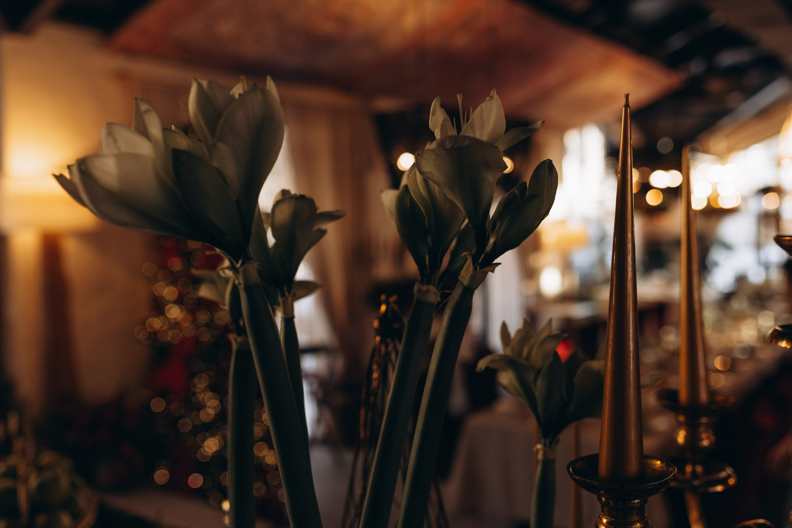 Иван и Кристина. Фотограф Людмила Оюн