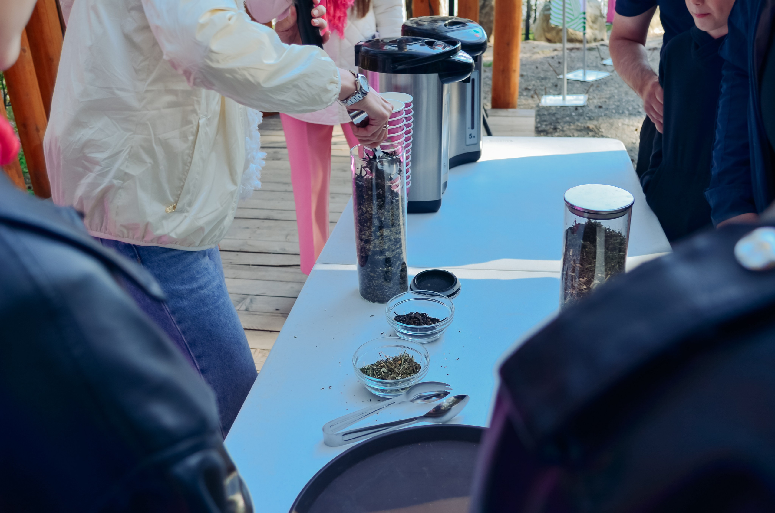 Фестиваль «Цветение Маральника на Алтае 2025». Фоторепортаж. Денисова Аля — фотограф для парных съемок и индивидуальных историй в Барнауле