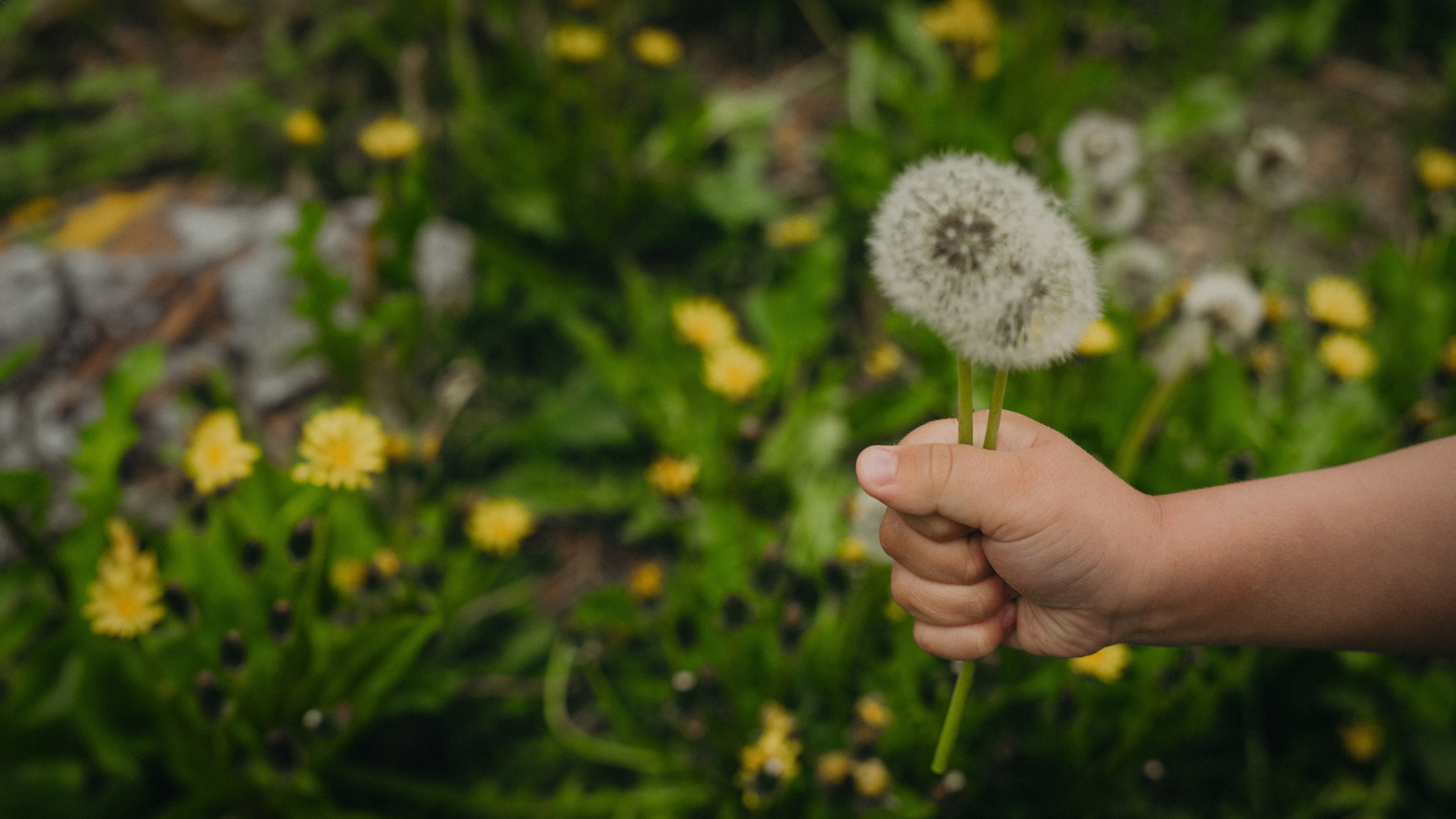 10. Фотограф Батуми | Ксения Кинасова