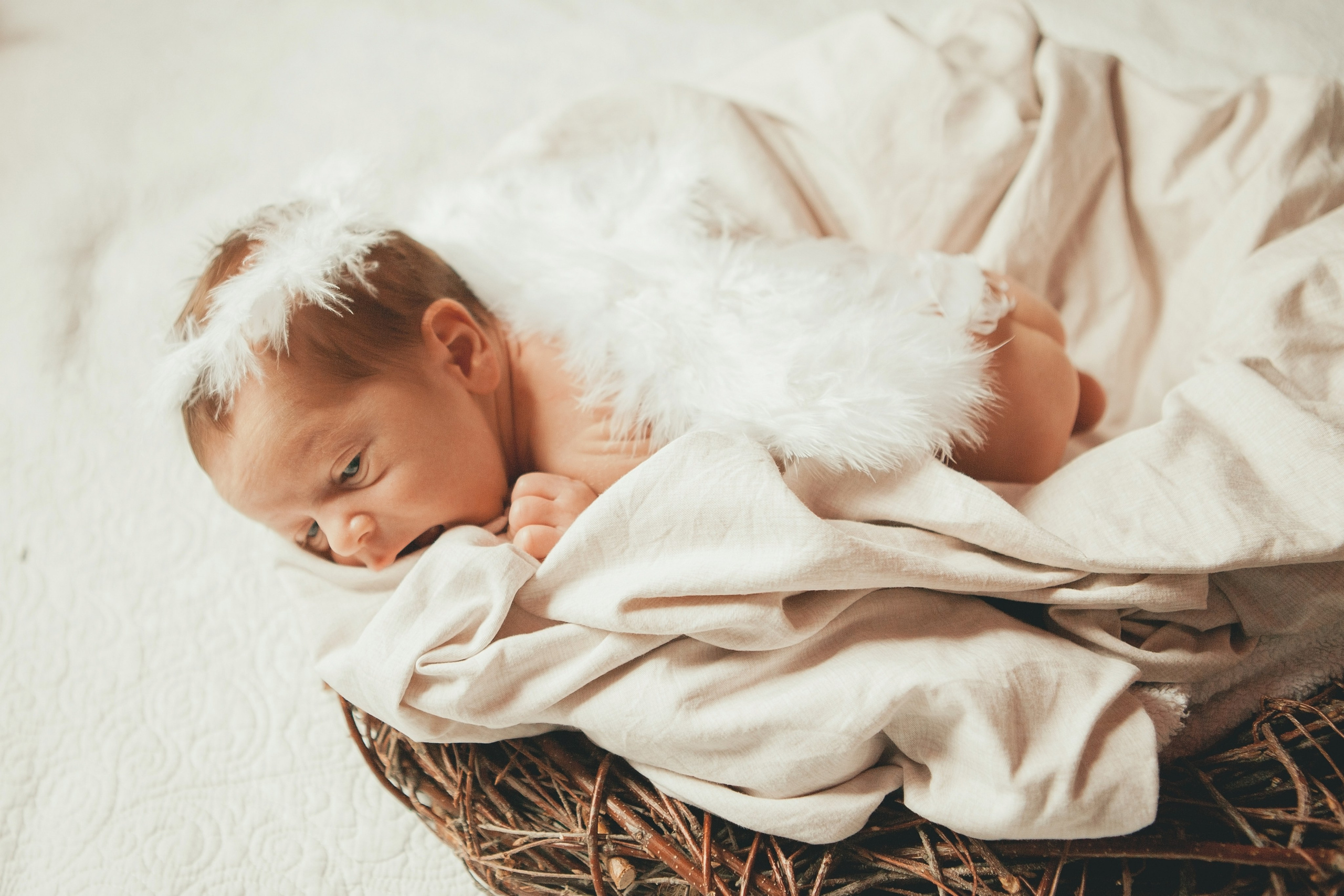 Гордей. Фотограф Ольга Ефремова