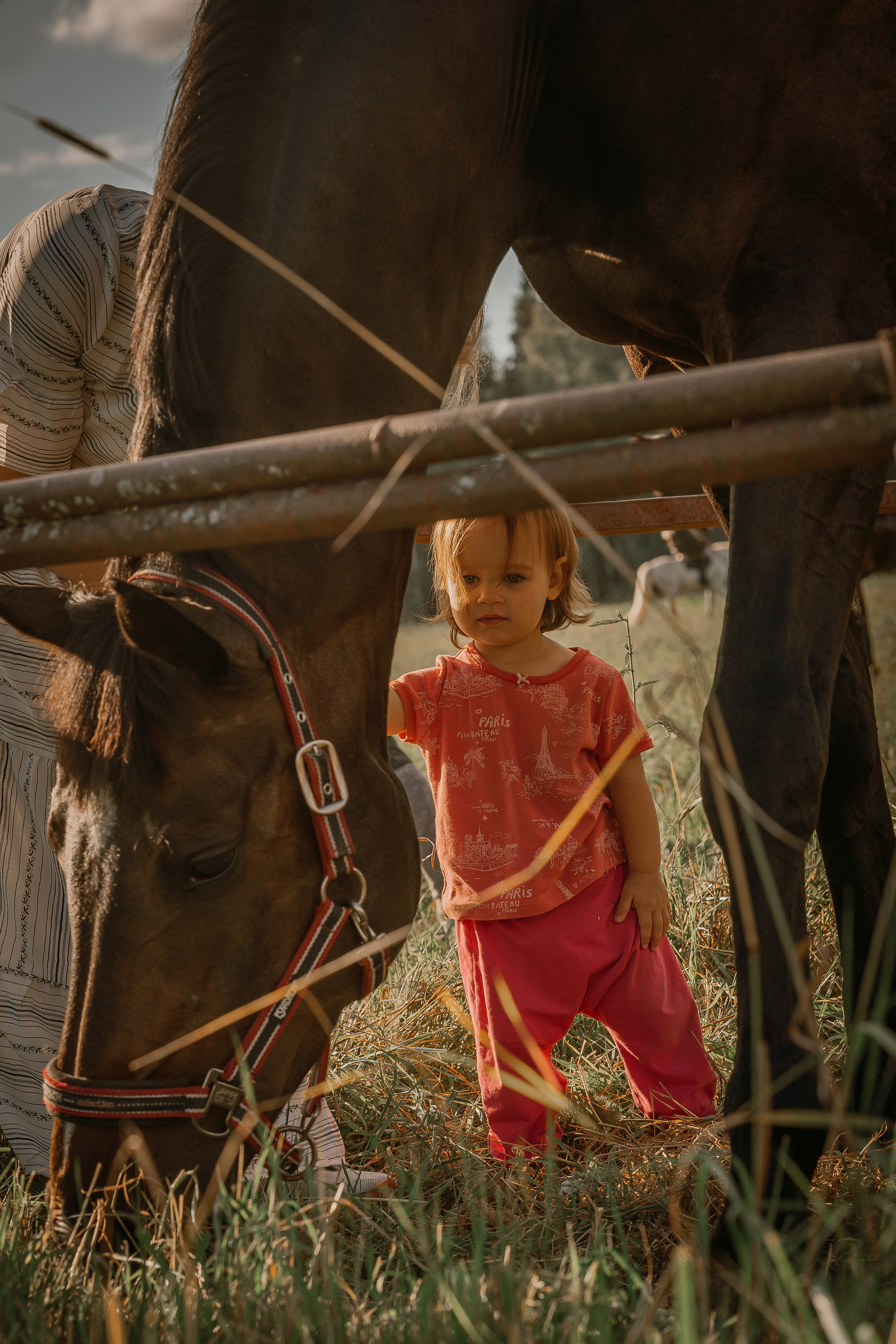 Прогулки. Юлия Строганова. Фотограф. Москва