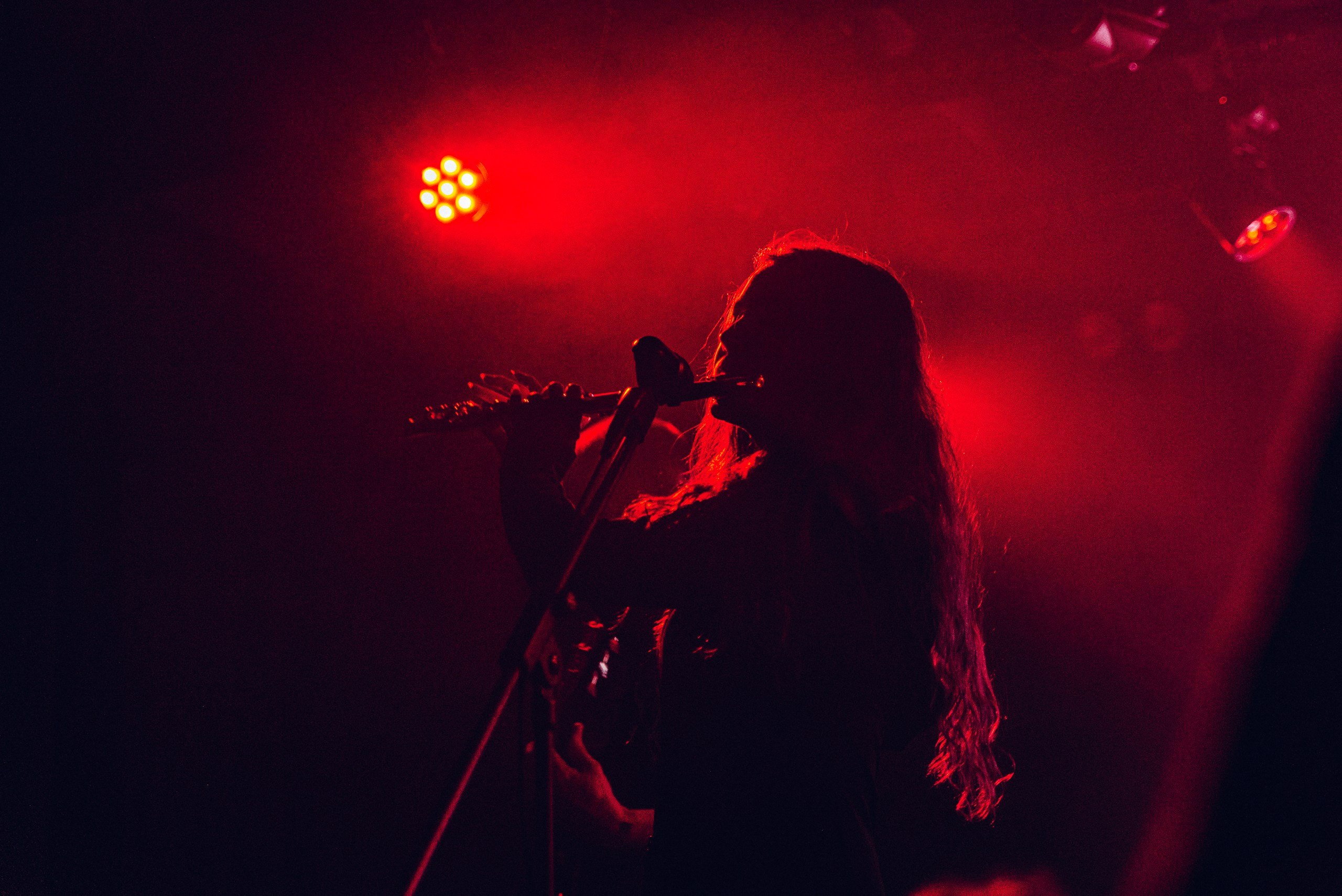 Концертное портфолио. Портфолио