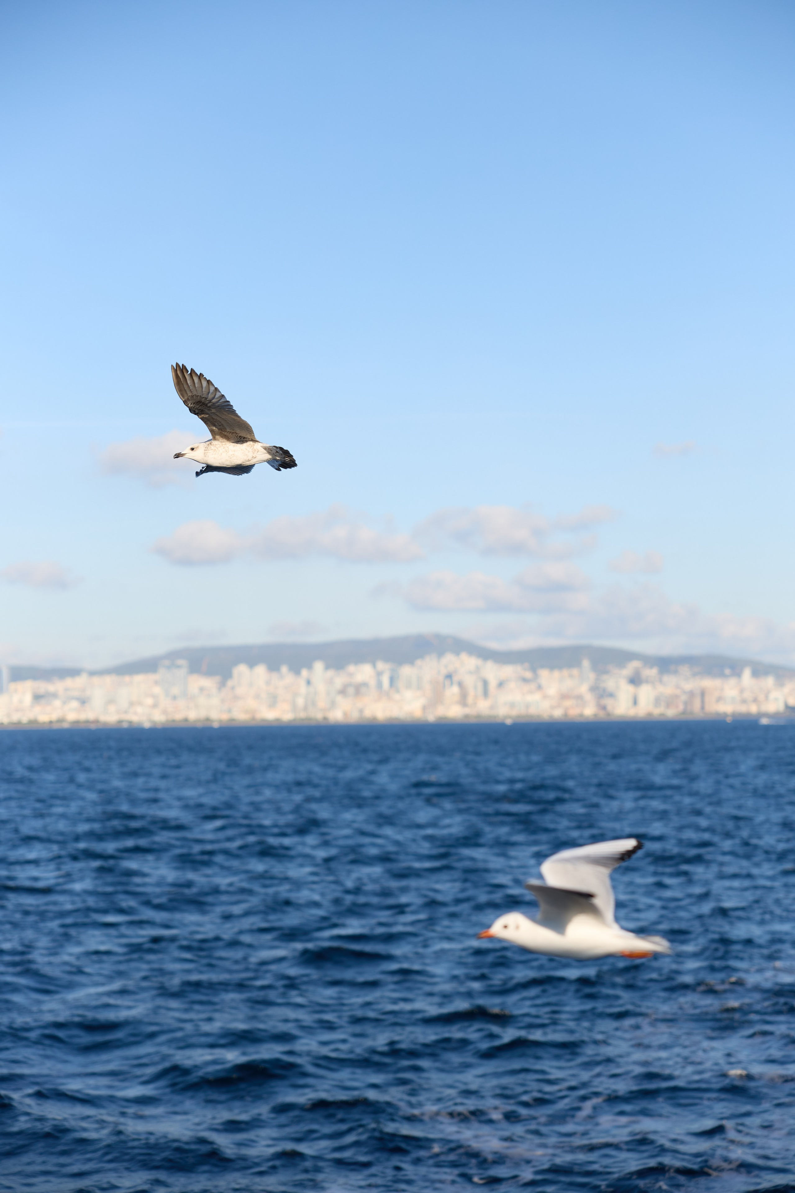 Стамбул 24. Фотограф Москва, Дима Пеллер