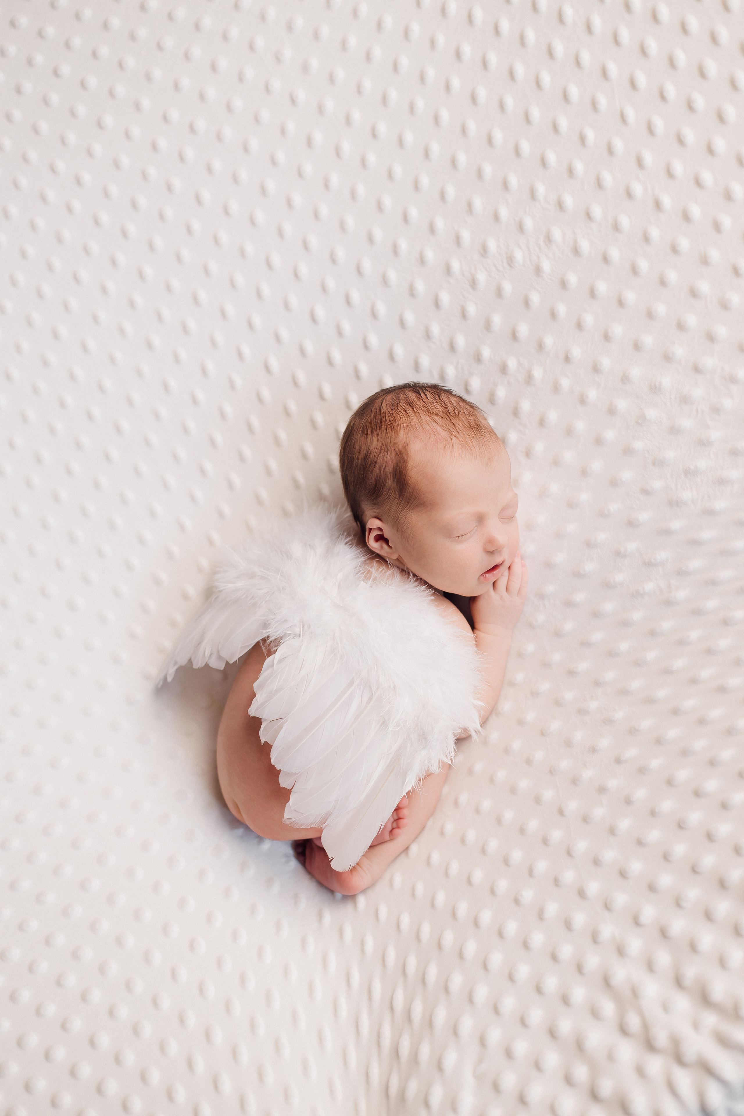 NEWBORN. Фотограф Красноярск Алина Степанчишина