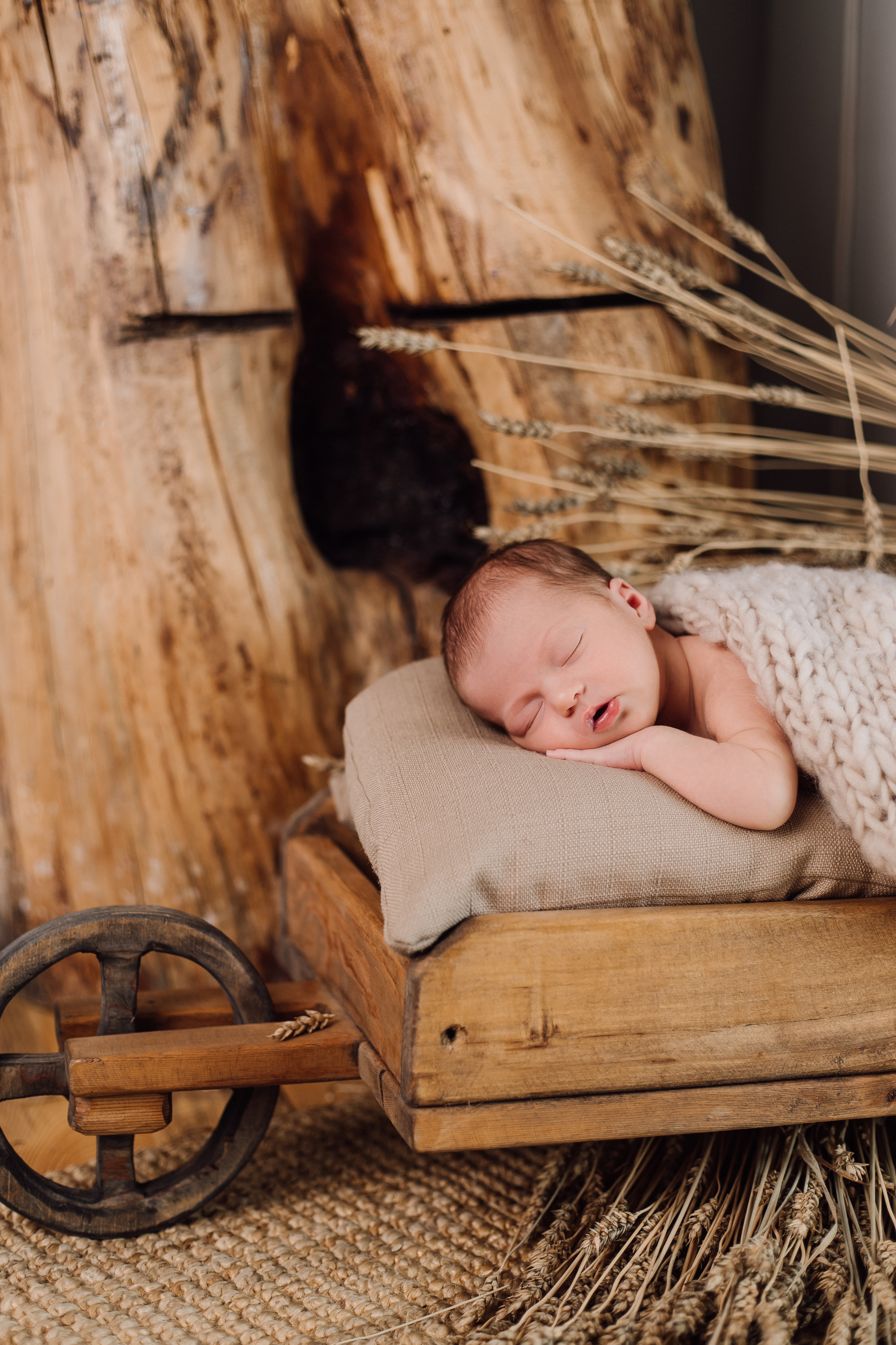 NEWBORN. Фотограф Красноярск Алина Степанчишина
