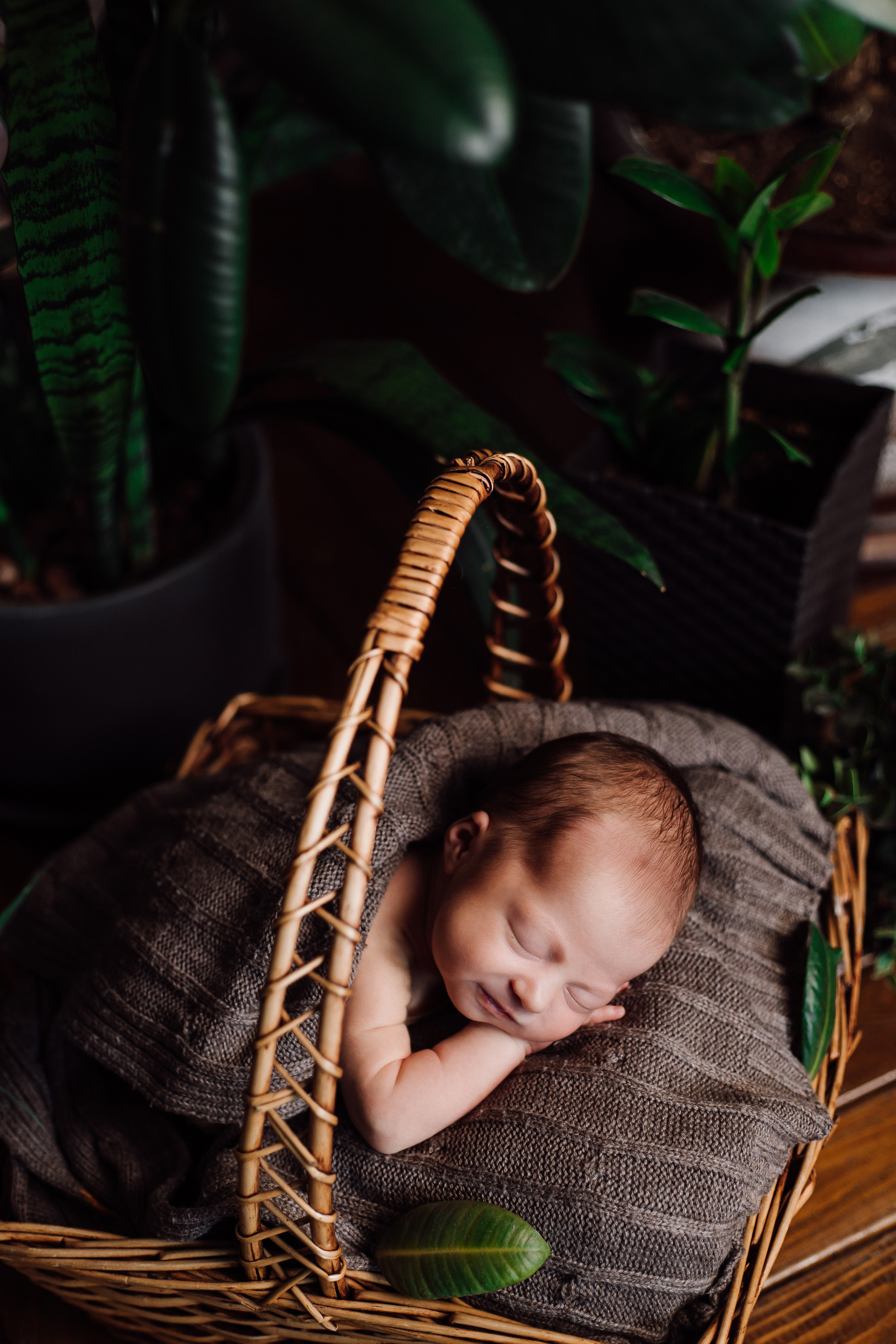 NEWBORN. Фотограф Красноярск Алина Степанчишина