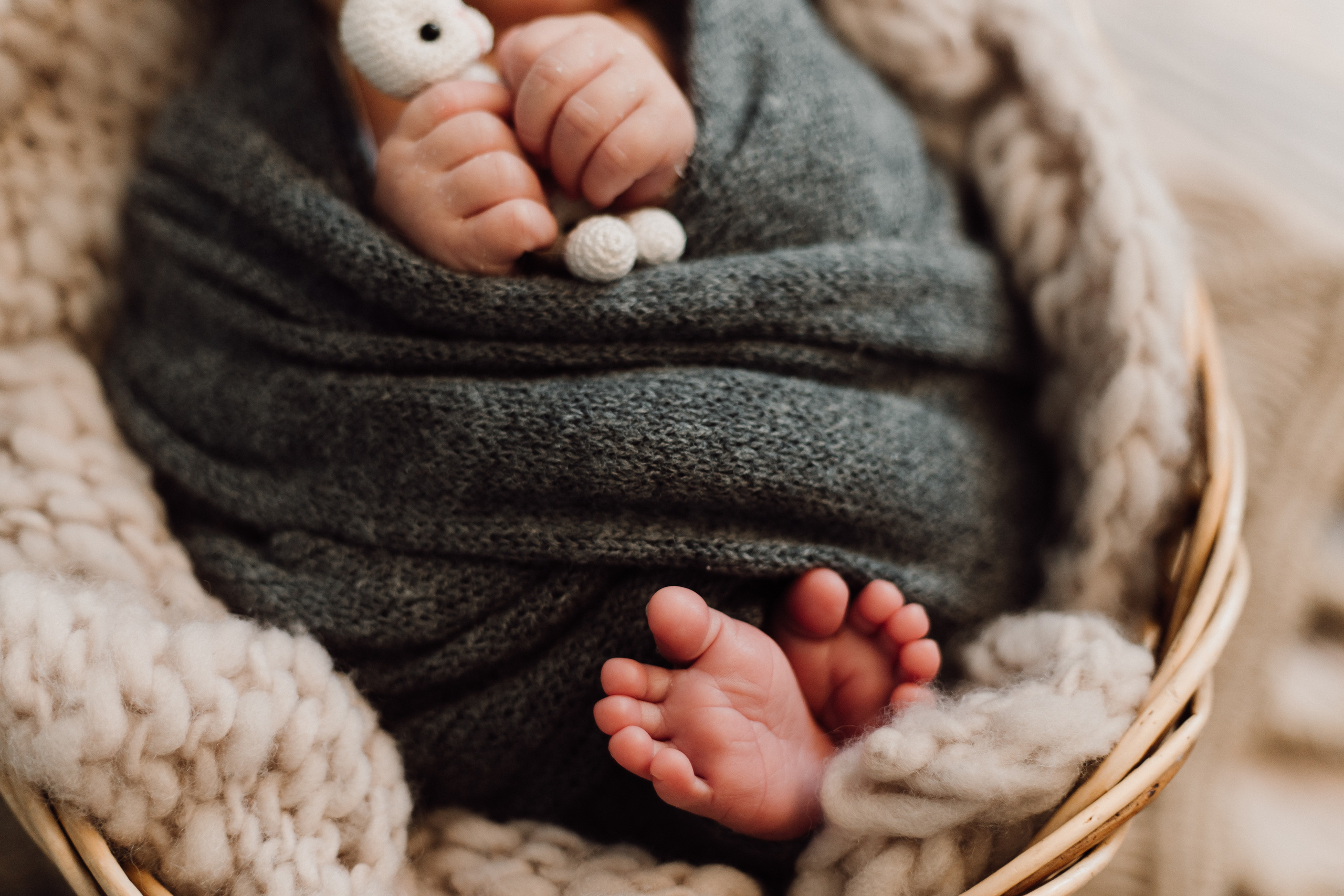 NEWBORN. Фотограф Красноярск Алина Степанчишина