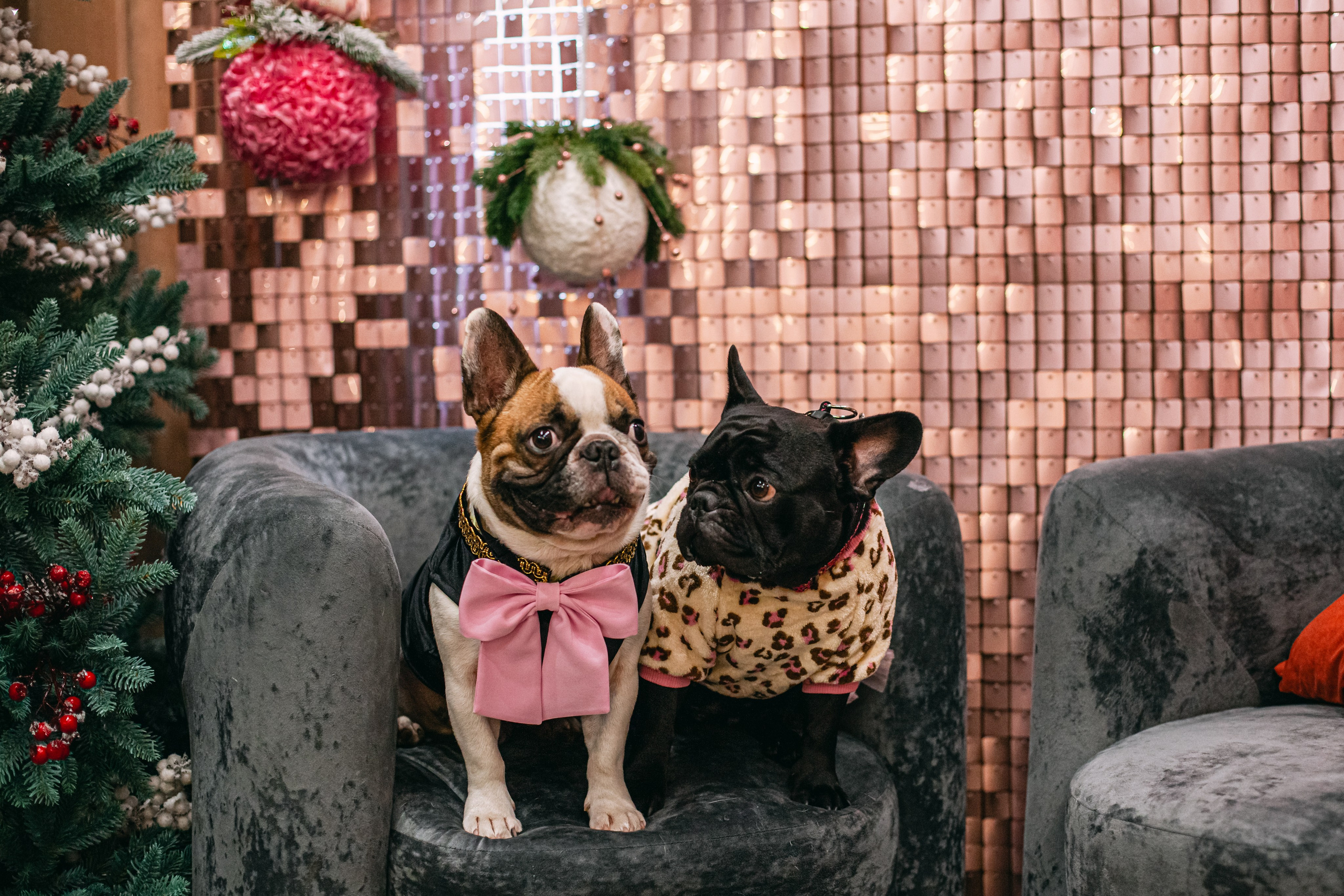 Бульёлка 2024. Фотограф-анималист Татьяна Степанова