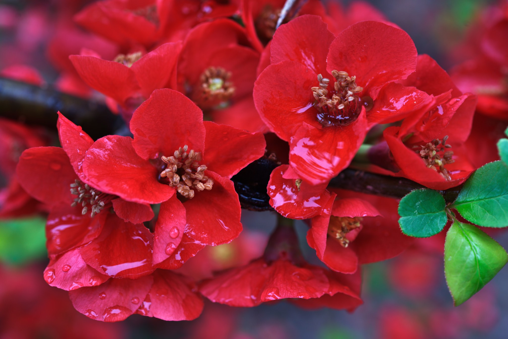 Пейзаж. Фотограф и видеооператор из Москвы Алексей Черкасов