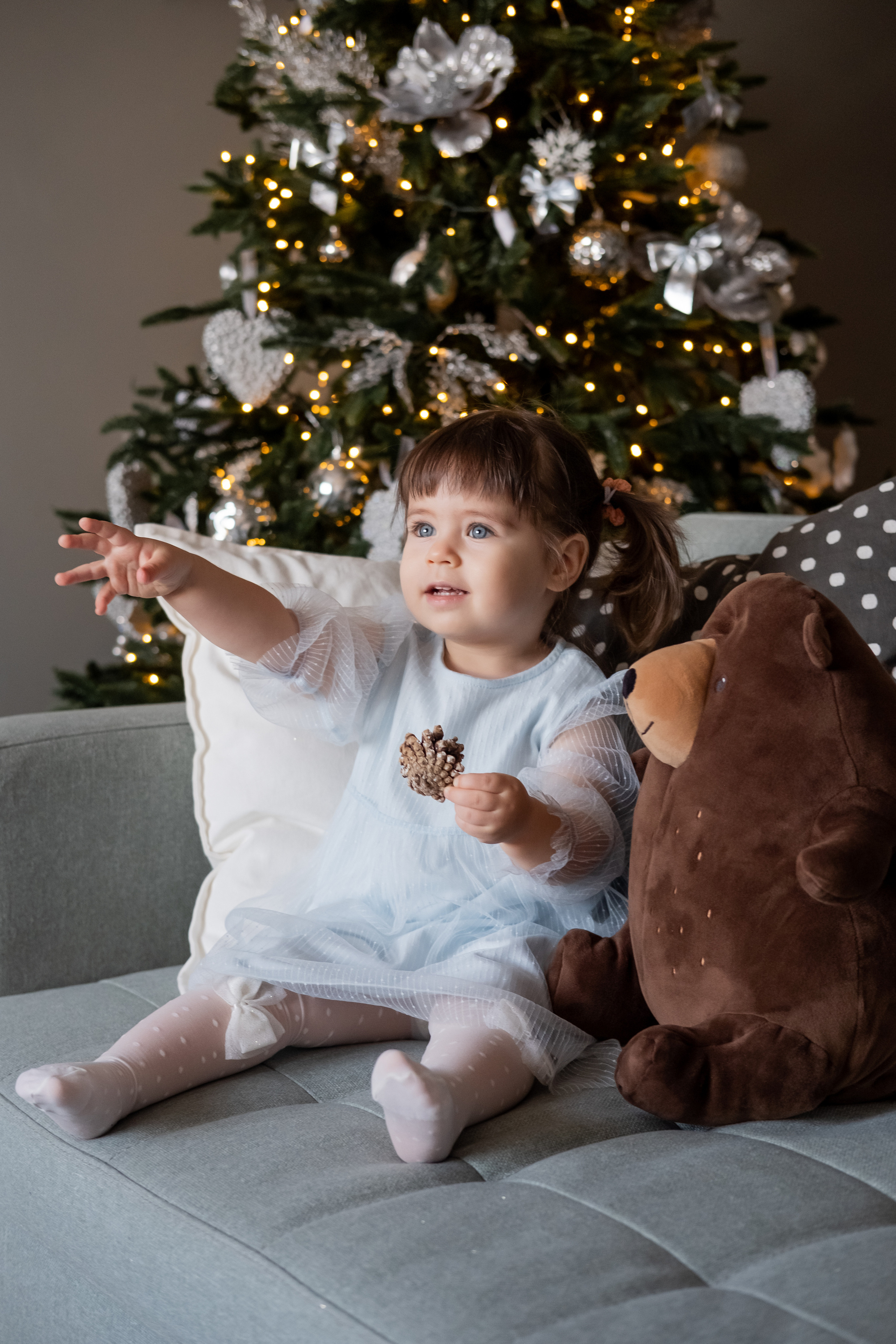 Grey. Семейный и свадебный фотограф Новосибирск